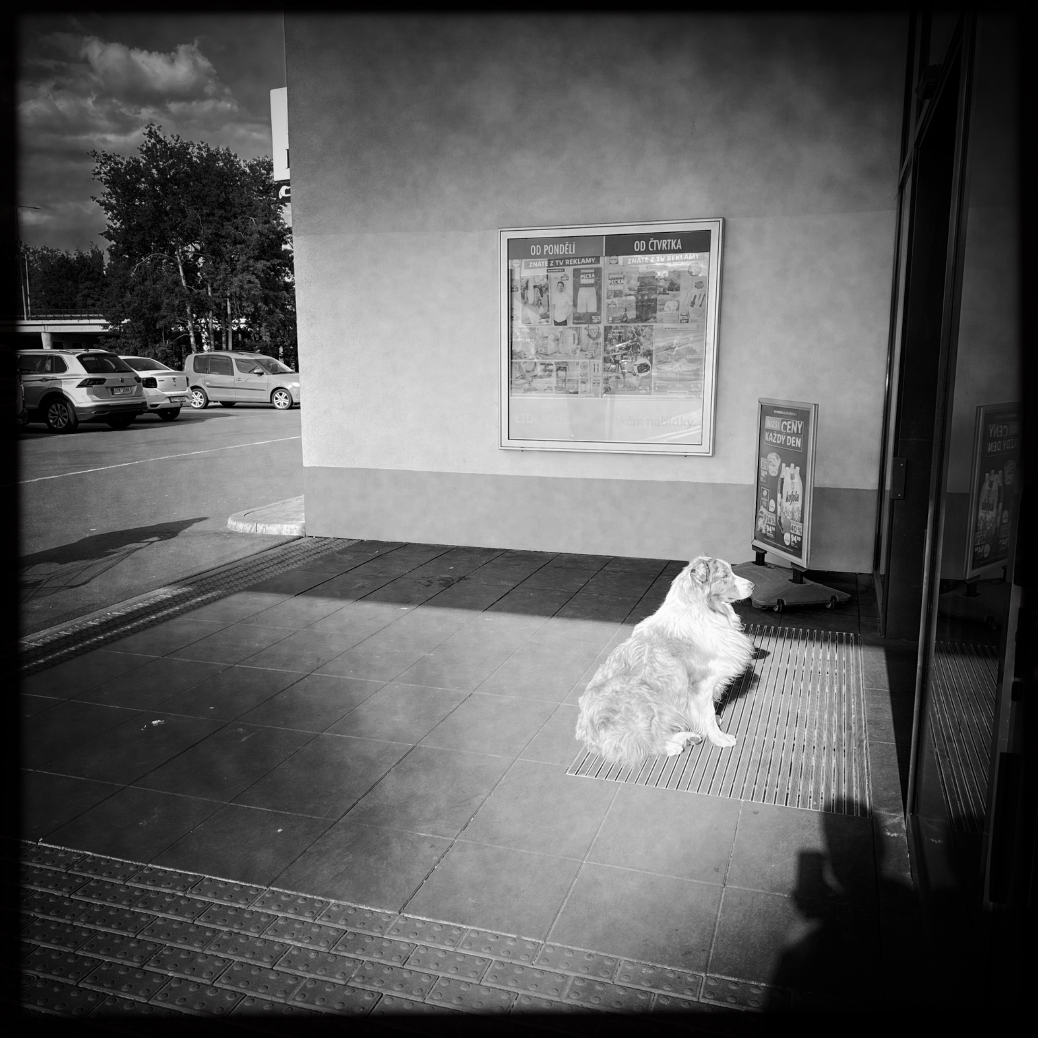 HMOriginal 28222795 72B9 4DA1 94F7 9F18A0045717