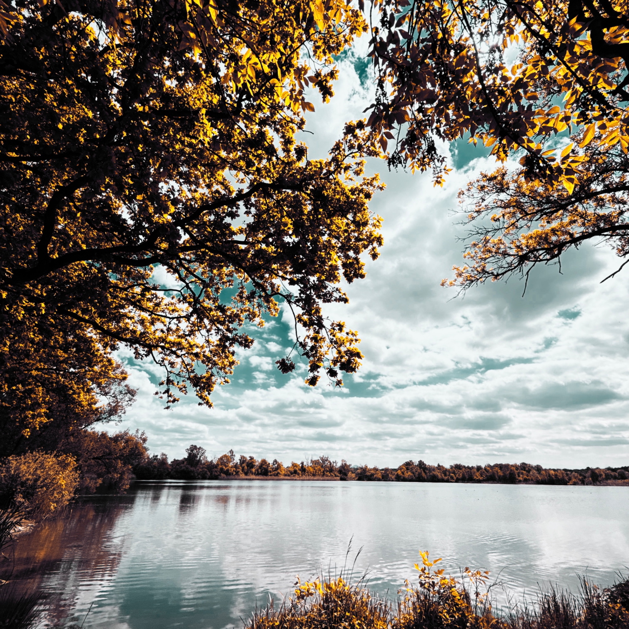 HMOriginal 28AAA0B6 6A55 4CEE 88A2 4CCBD89ECD35