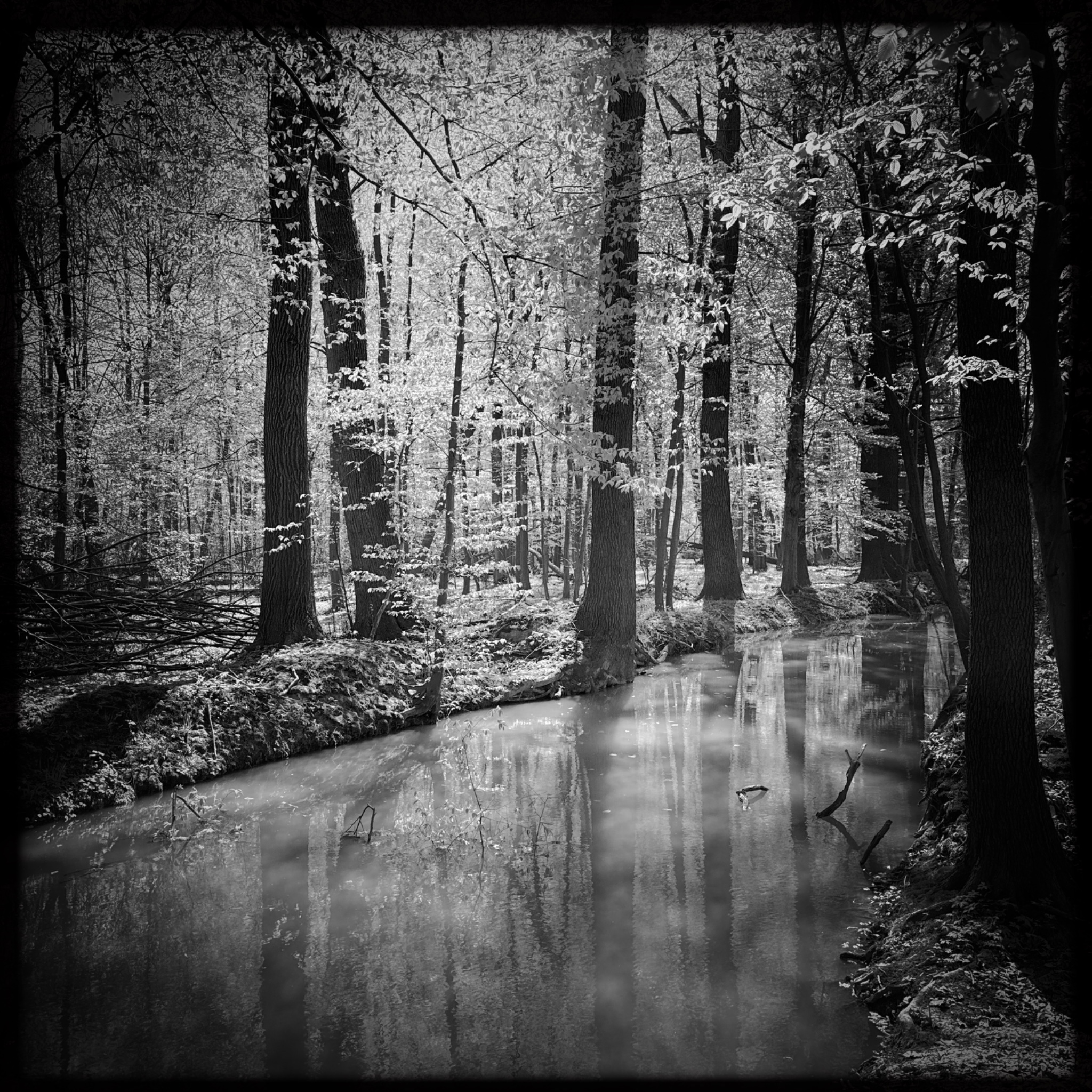 HMOriginal 2DFBBD9B 0146 4FFD AFE3 C470B4DE53BB