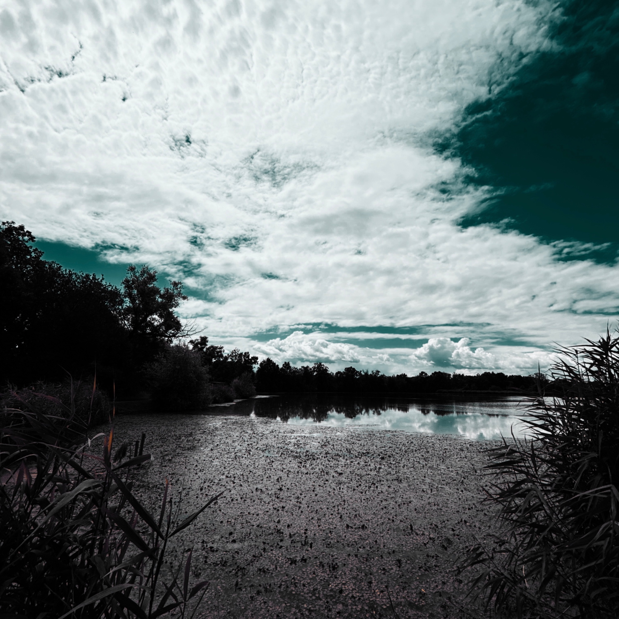 HMOriginal 2E041A88 C8B0 4F25 B714 76AE5F0127B7