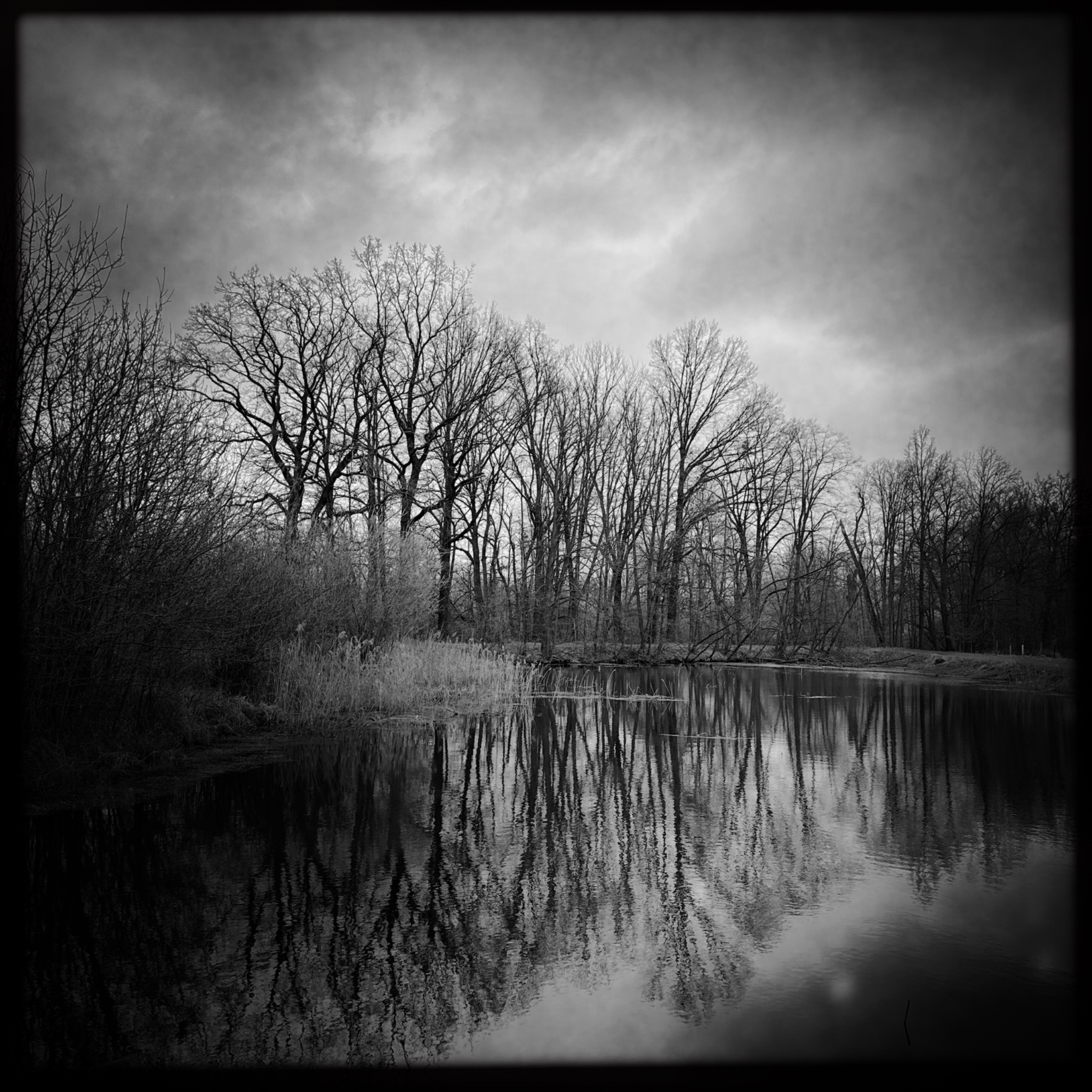 HMOriginal 2ED8CBFA 4E78 446B 972E 0721FB6BE958