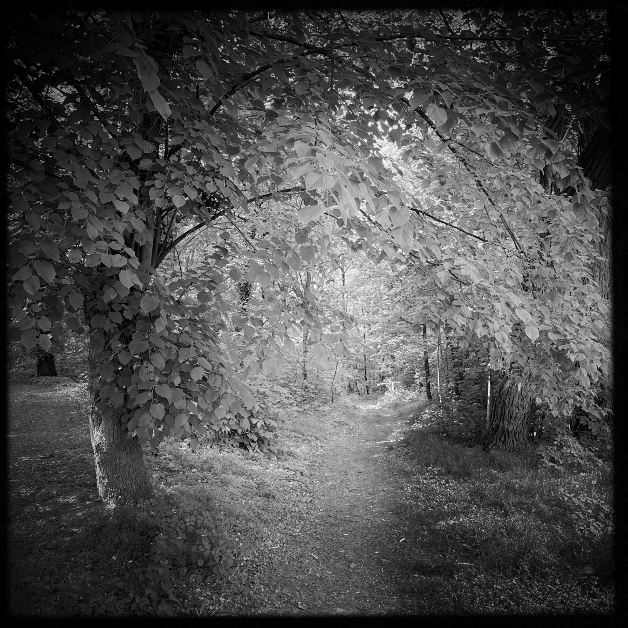 HMOriginal 31616356 E28E 40CE AACB AAA1173455B4