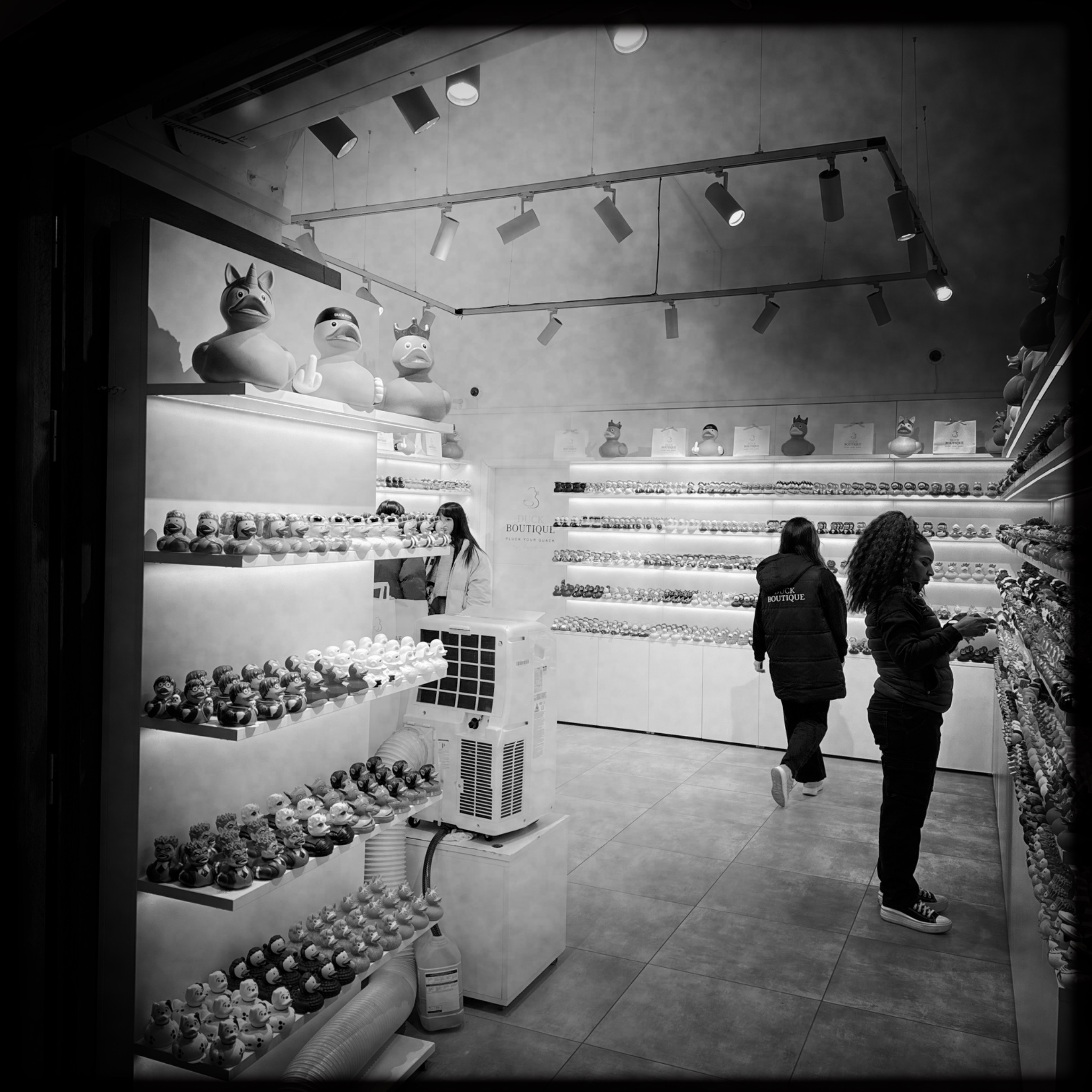 HMOriginal 32251176 433A 4696 B9B8 CEE20030B779