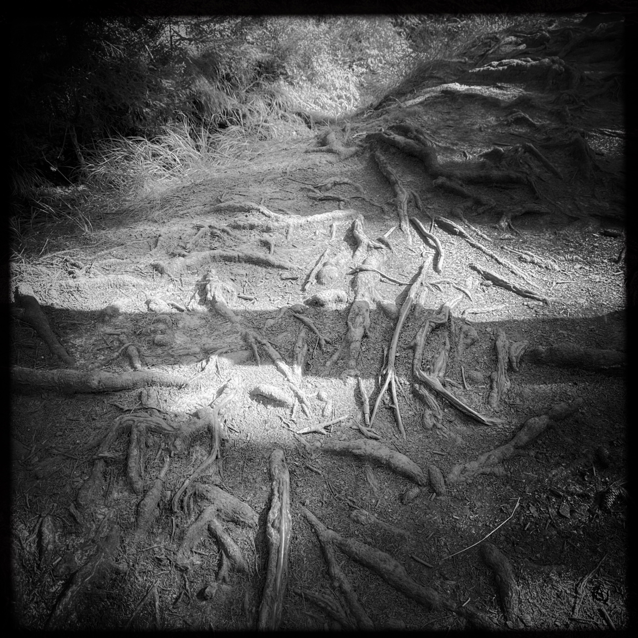 HMOriginal 38D6E258 DAB2 40A3 AFF0 AE47DA9E8456