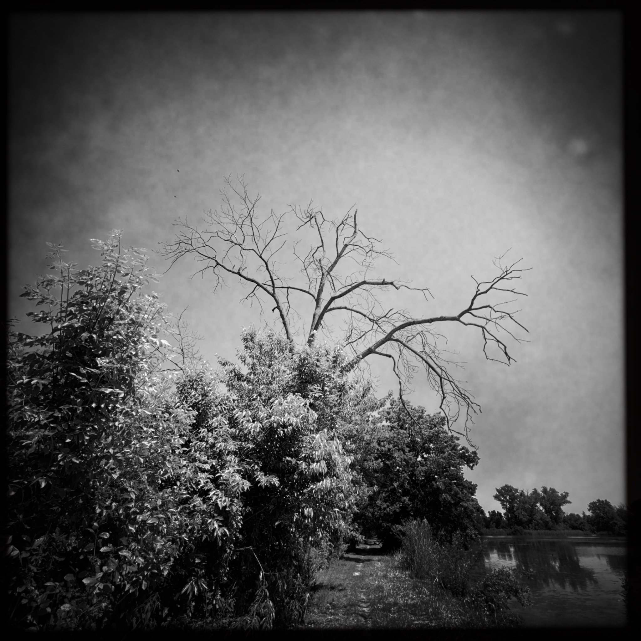 HMOriginal 3A7A67F3 C68B 483C BDDB 8862BAD242BF