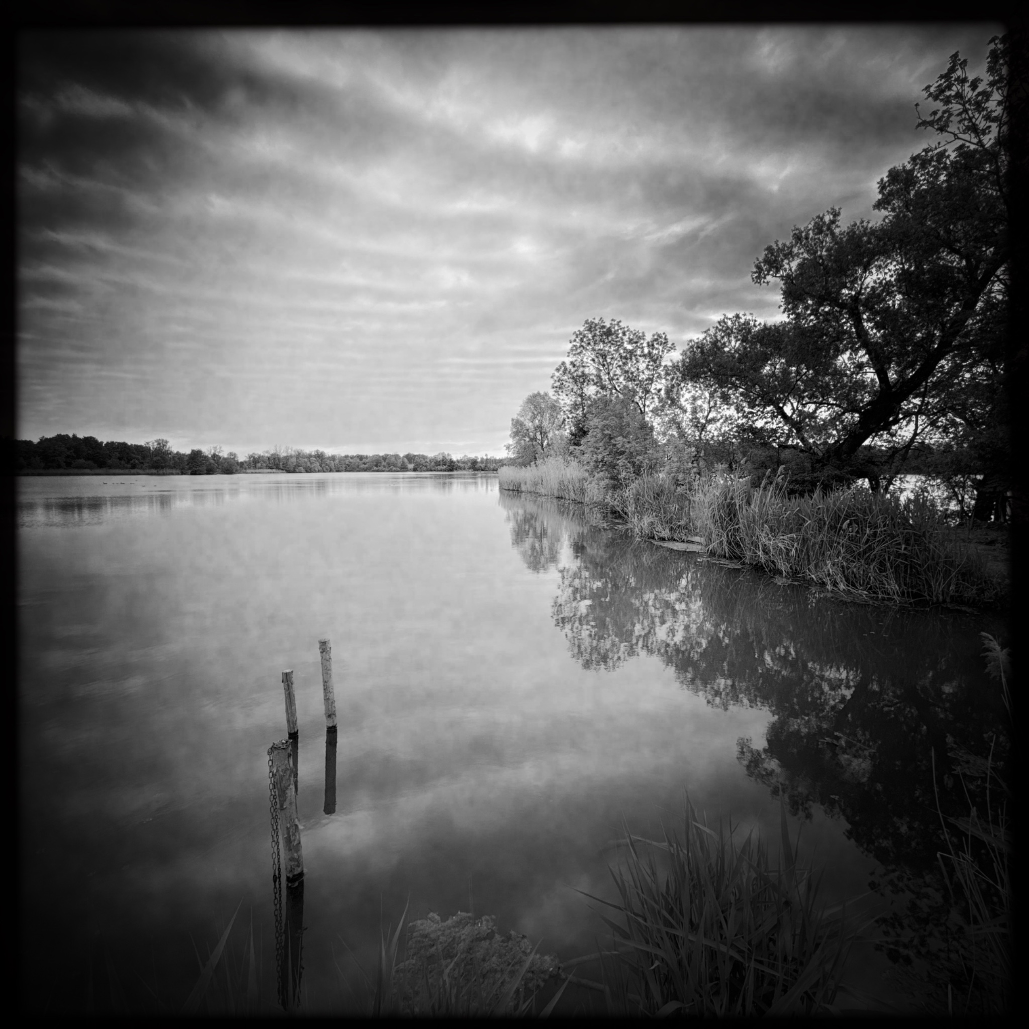 HMOriginal 3AA64A75 259A 410B B344 C8C4633965C7