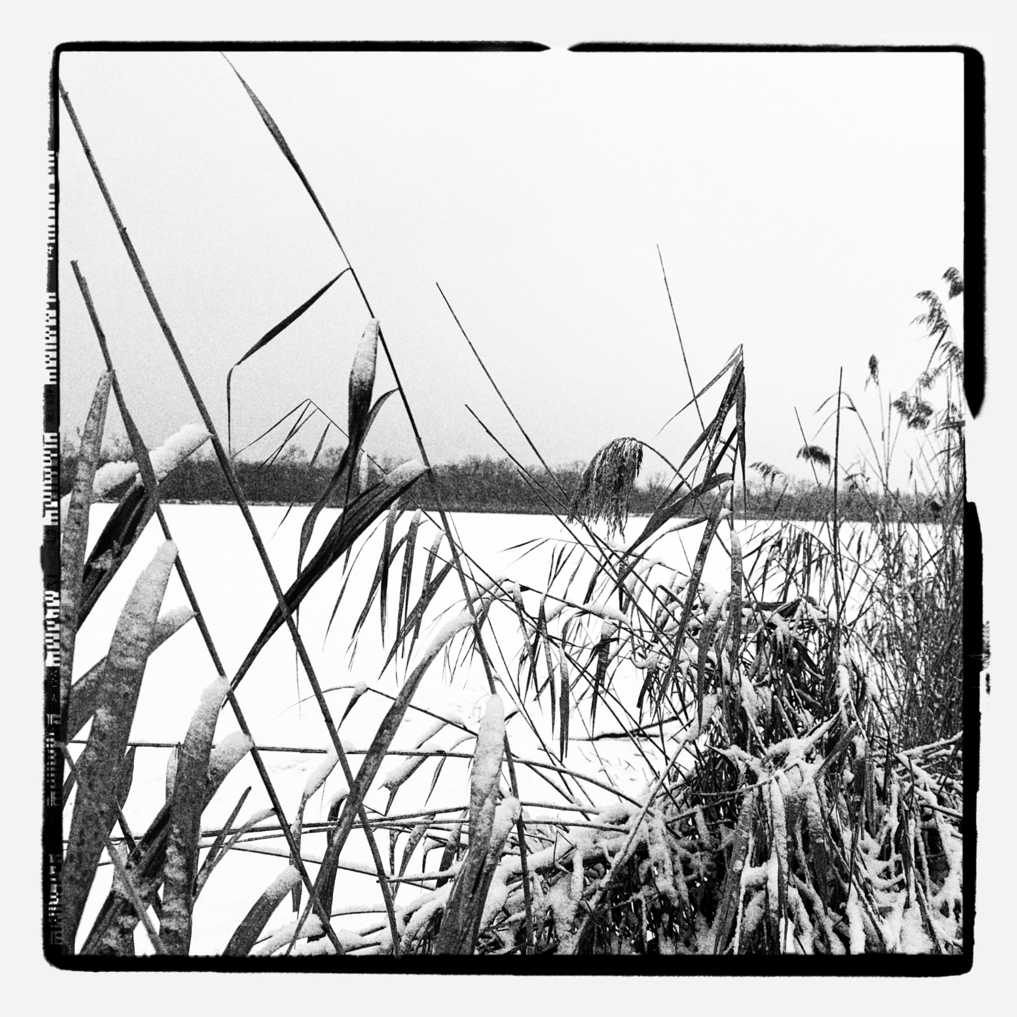 HMOriginal 3B7FBEBE 8A98 441D A20F 1FF803764DDE