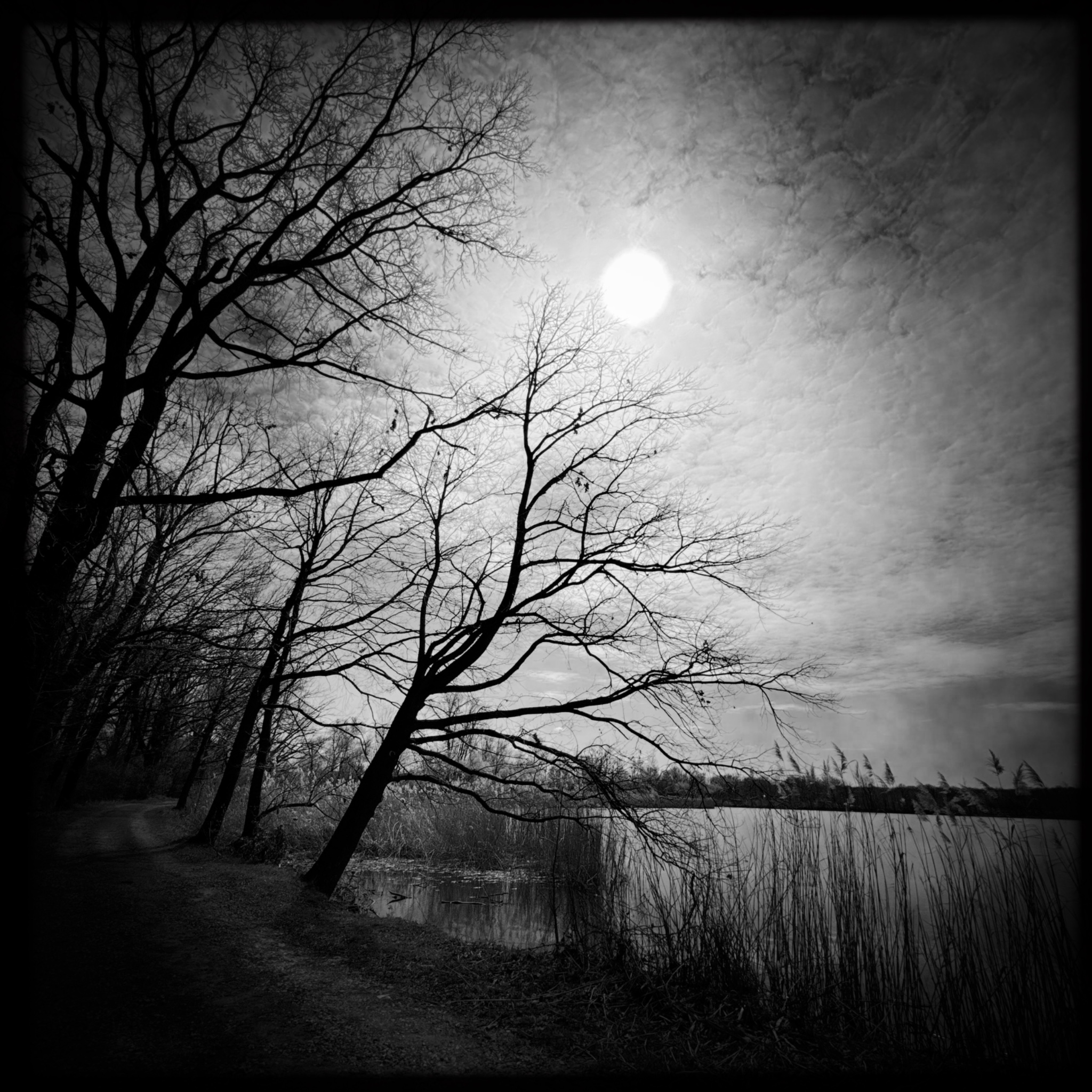 HMOriginal 3BEE526B BBC5 4EBF B948 E3F58AC04BEC