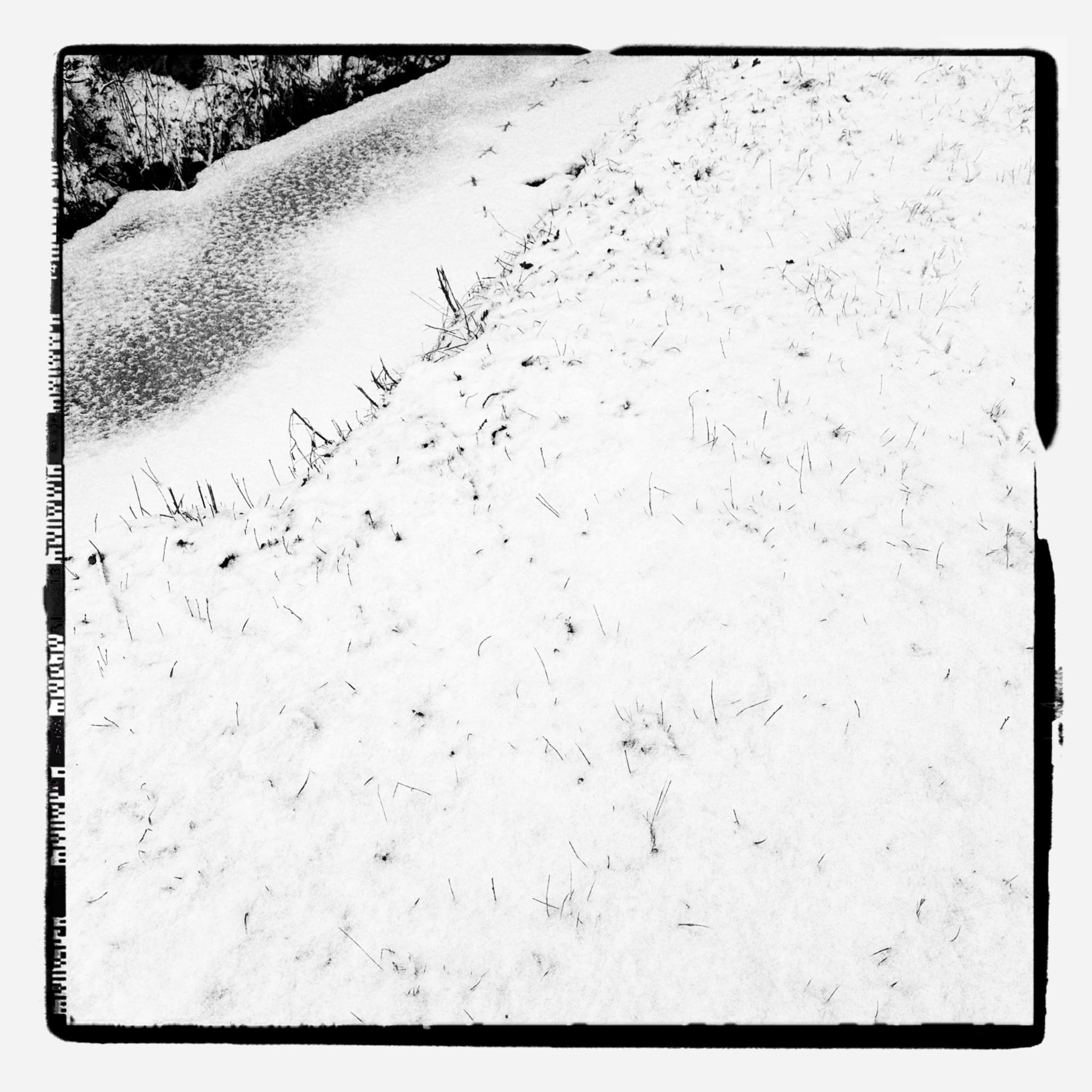 HMOriginal 3D306EA6 AFD9 44A7 881E F4F4F2137326