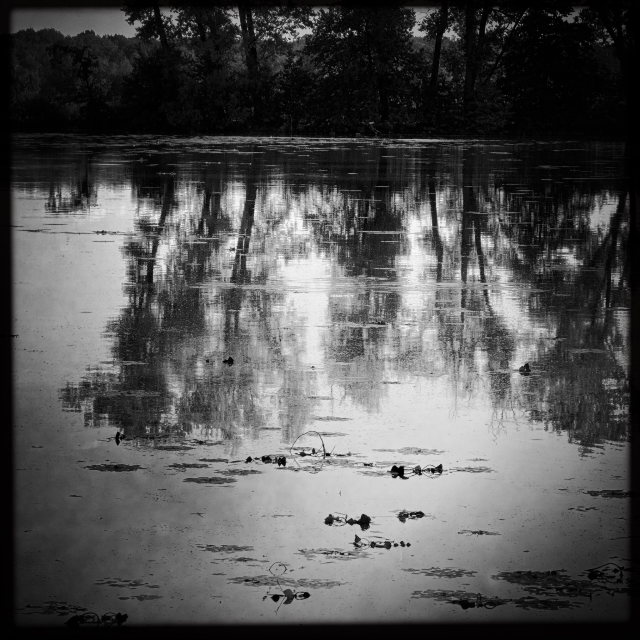 HMOriginal 3DD2E3B5 0009 4EA4 8BAF 9960E8EB9AF1