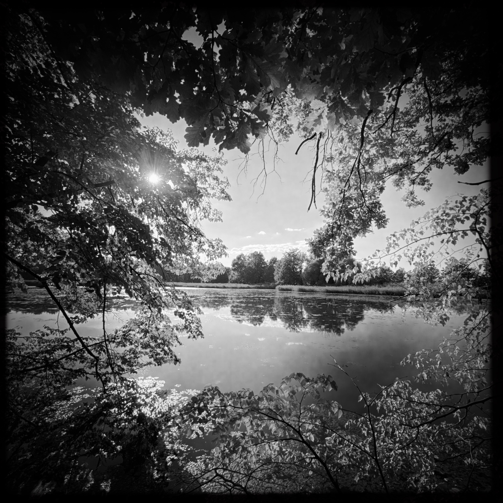 HMOriginal 3F0BD96B 8418 46A1 9BEA 5BC0DCF5836D