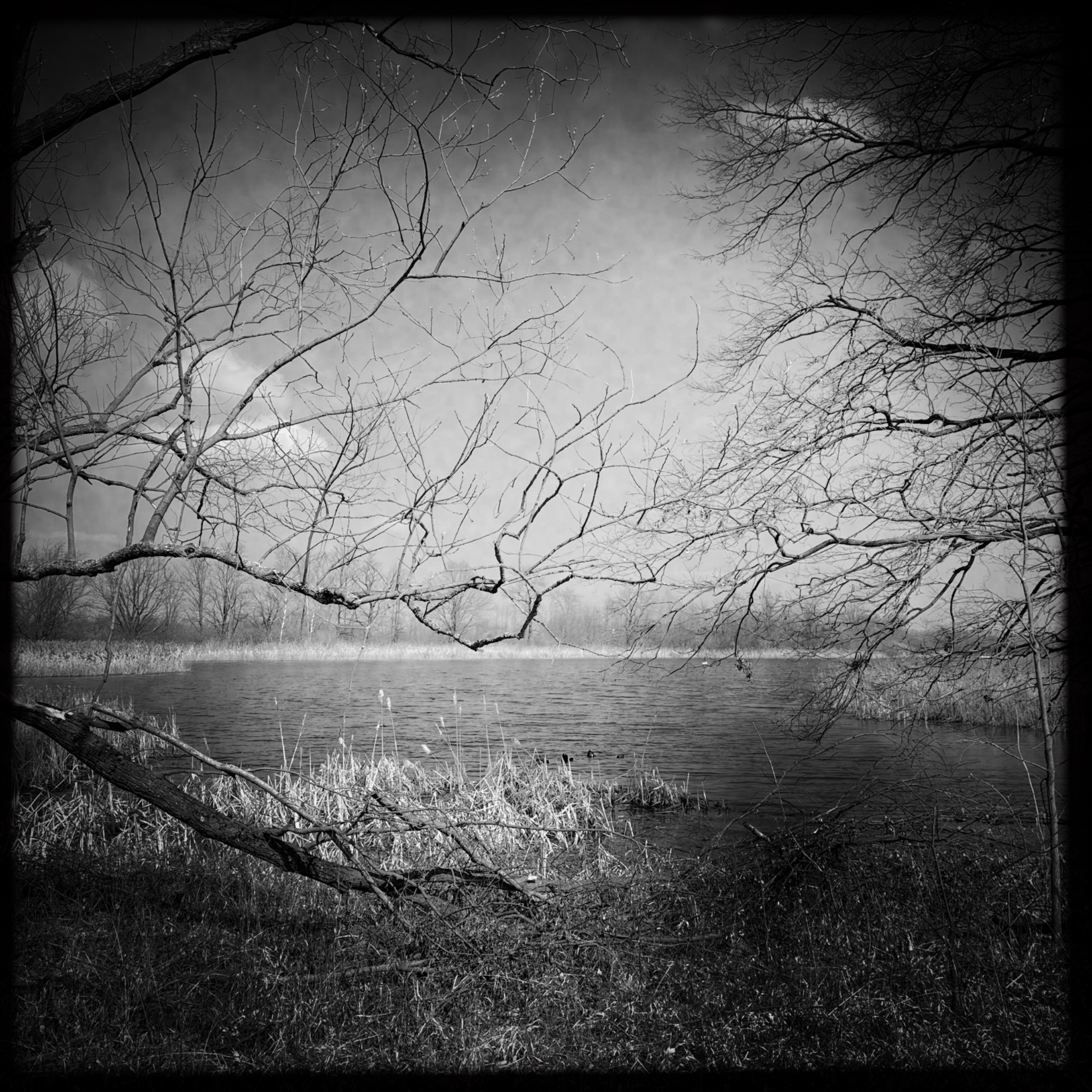 HMOriginal 3F667FF0 C6BB 4B02 AFE2 2D39D307D83E