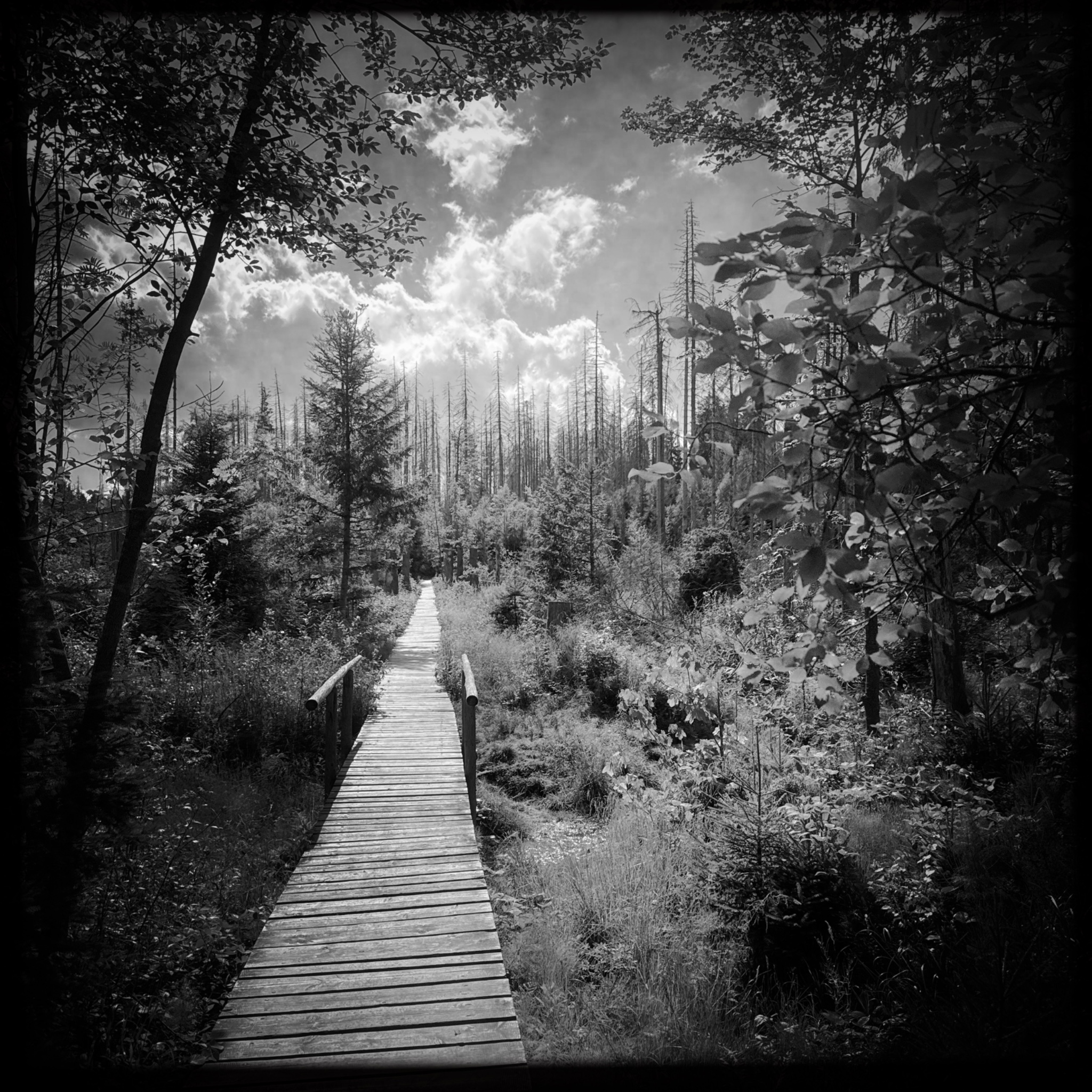 HMOriginal 41802285 99D5 4809 81ED F5FEFCE59B6D