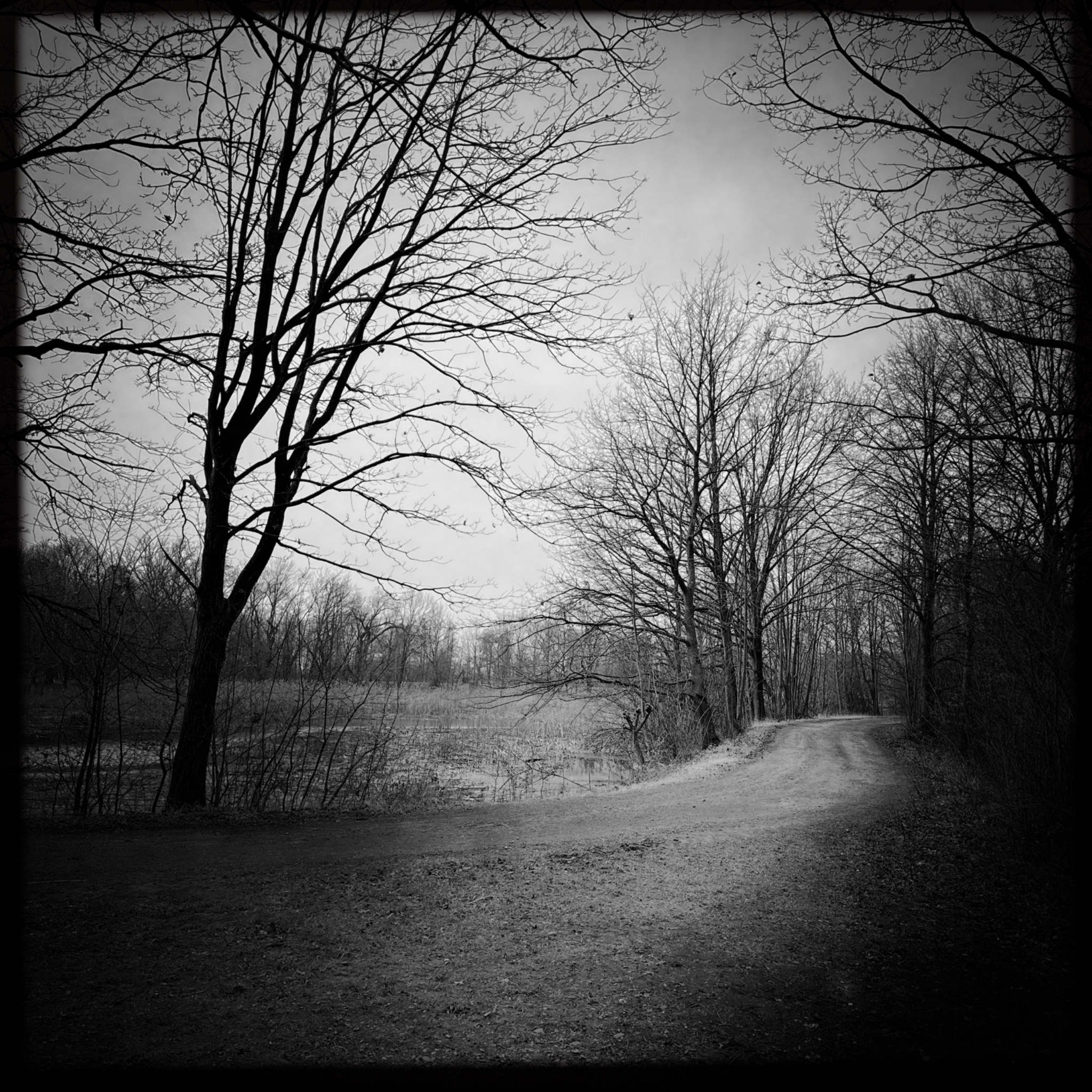 HMOriginal 4198D319 D105 4847 B4CB 1C07252BB03E