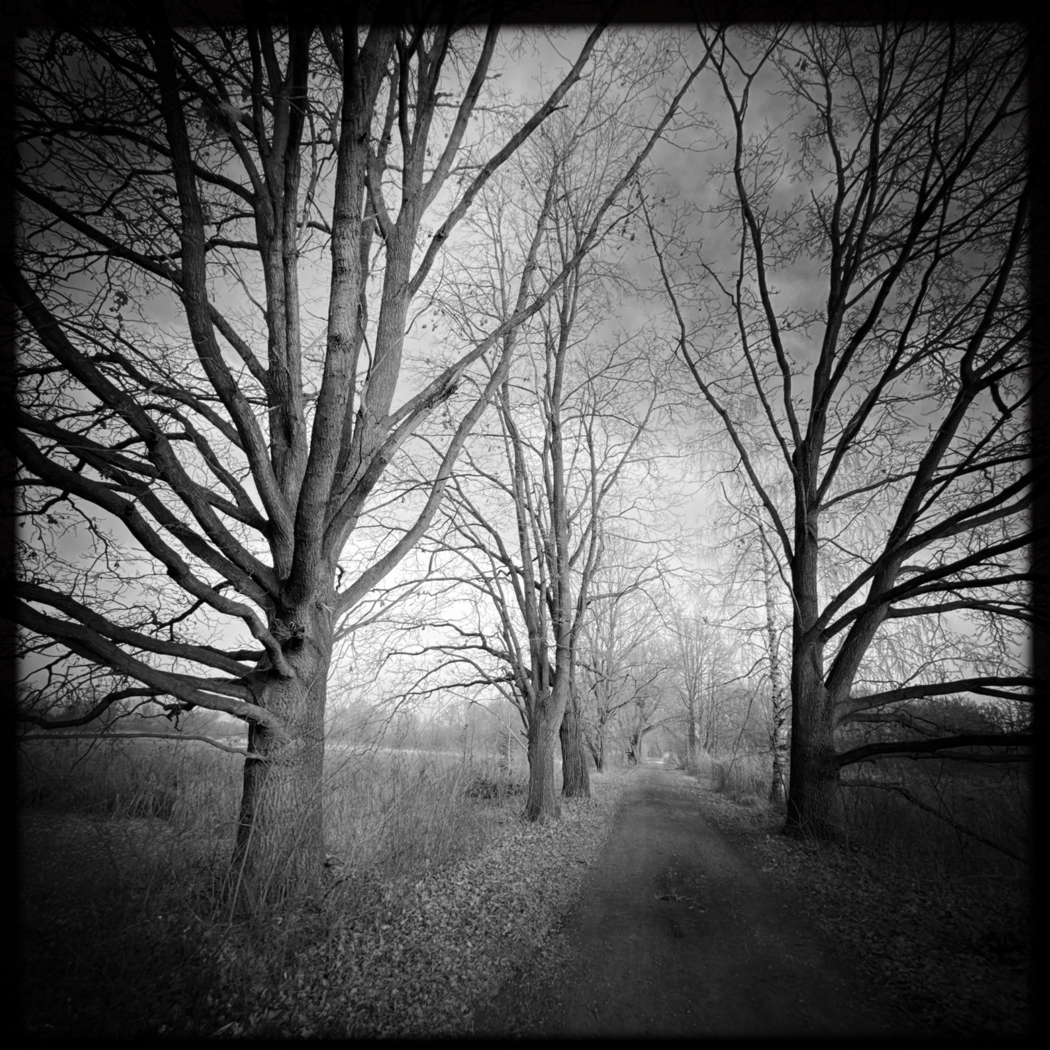 HMOriginal 425E0111 5B8B 4F65 95E6 C94419C9BEA9