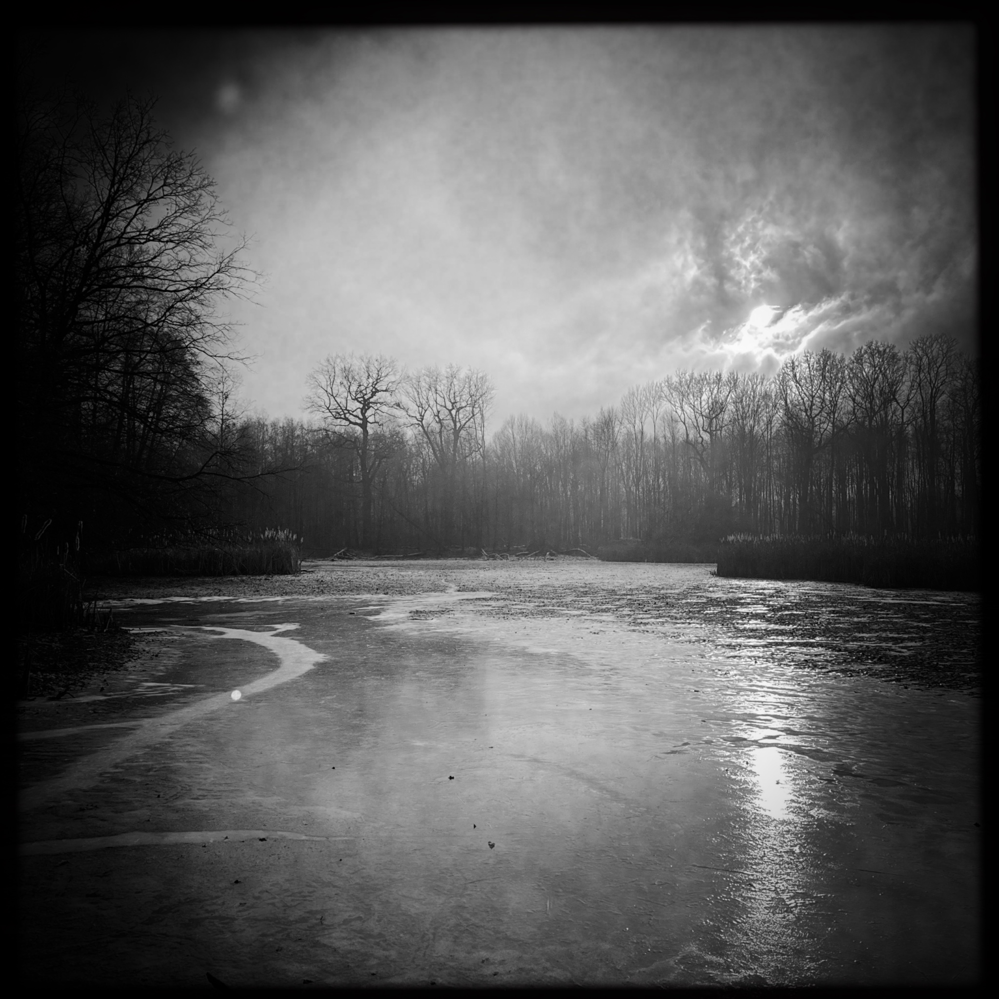 HMOriginal 42BE91CA 8D78 4F05 9931 C9FBAA41617B