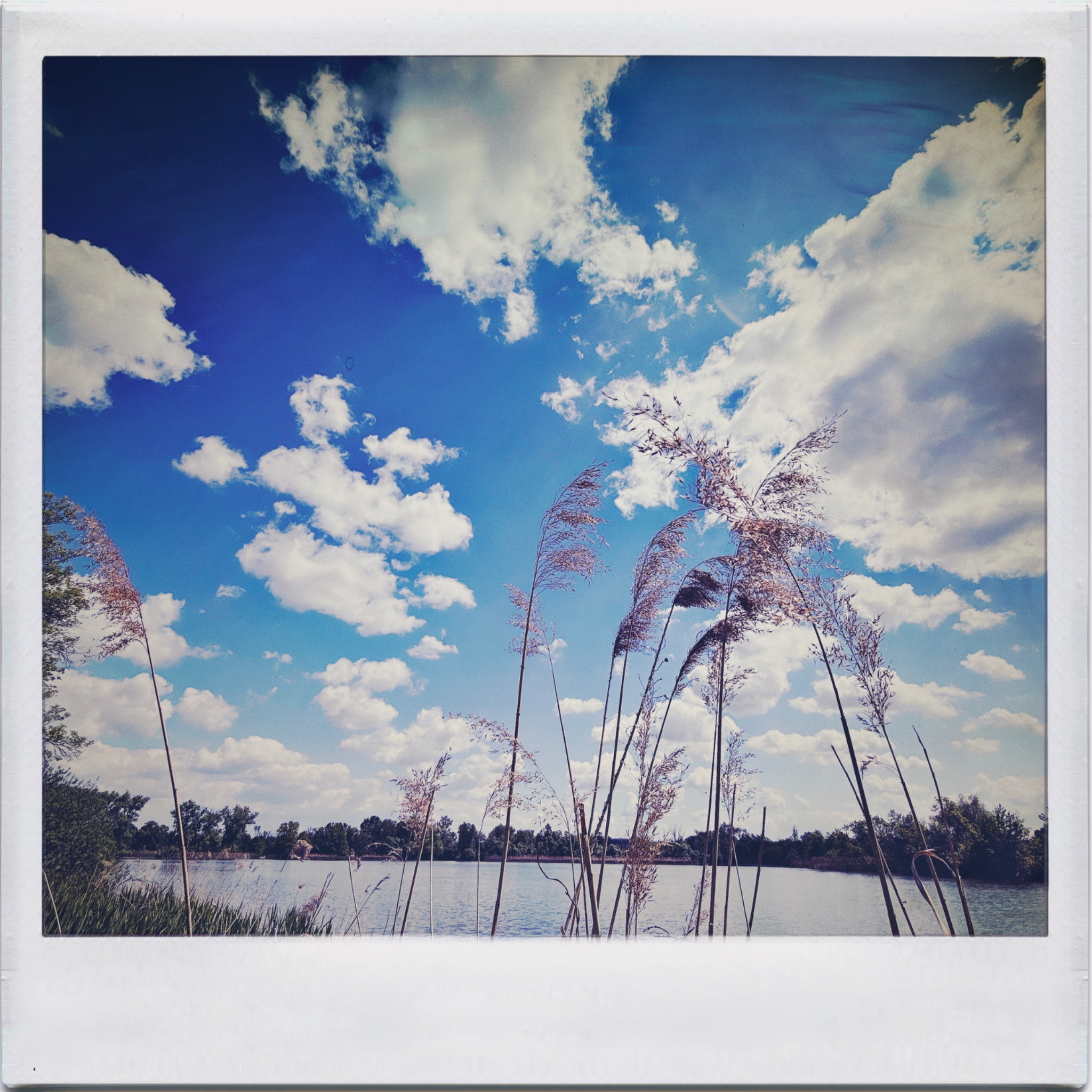 HMOriginal 4317F2E6 1994 4D0E BFE4 56A32D755E89