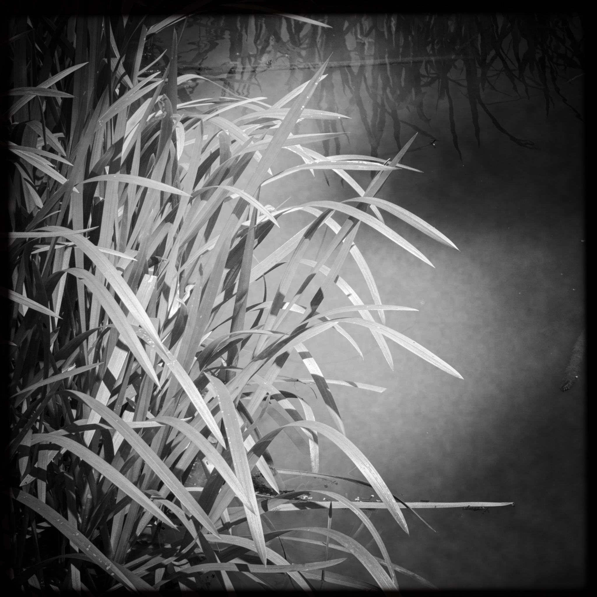 HMOriginal 48AF249F F505 4441 B59D 5037B930CAB8