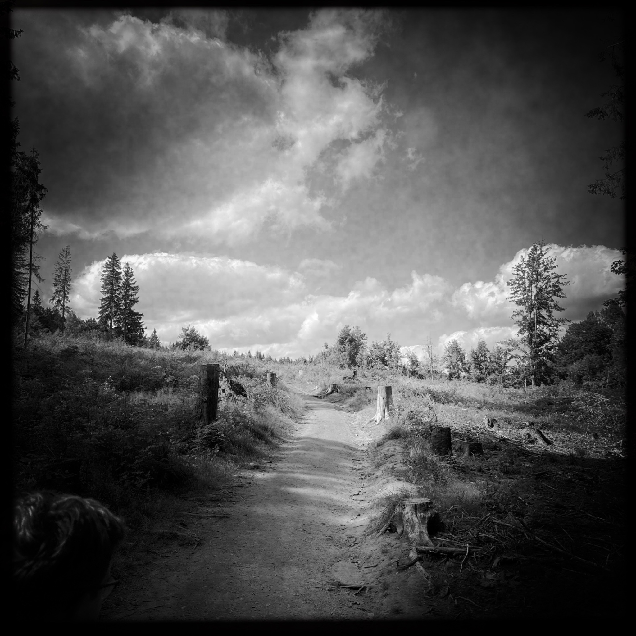 HMOriginal 48ED2E09 0DFE 4B53 A20F D32B3C9C6150