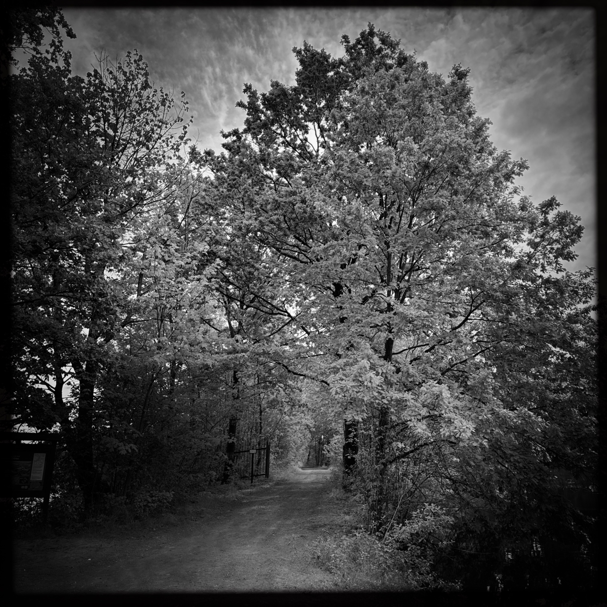 HMOriginal 49F8B300 0BE2 457E 99FE CEEF3391D4F1