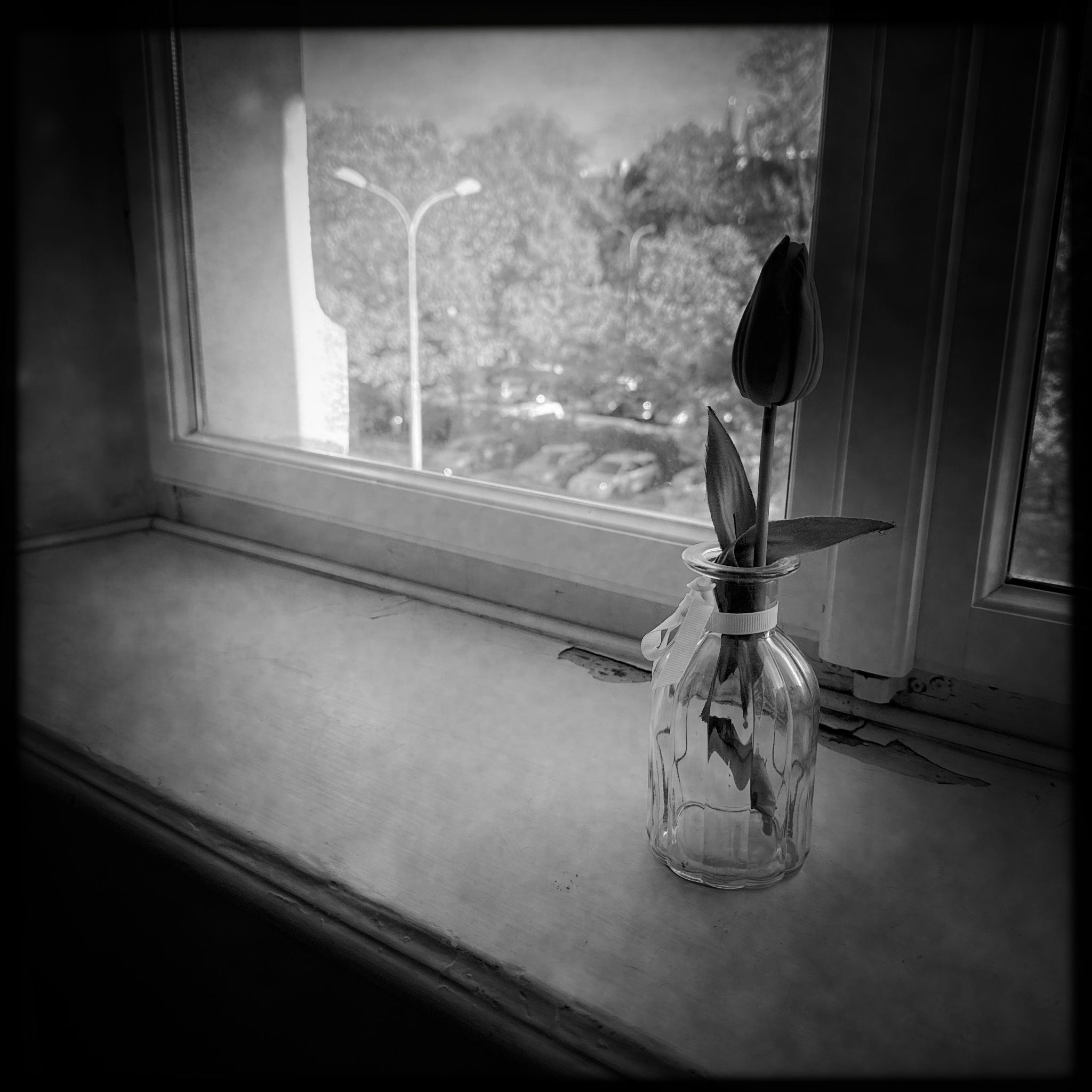 HMOriginal 4BECF160 CD0D 479F AE44 BC083F6AE384