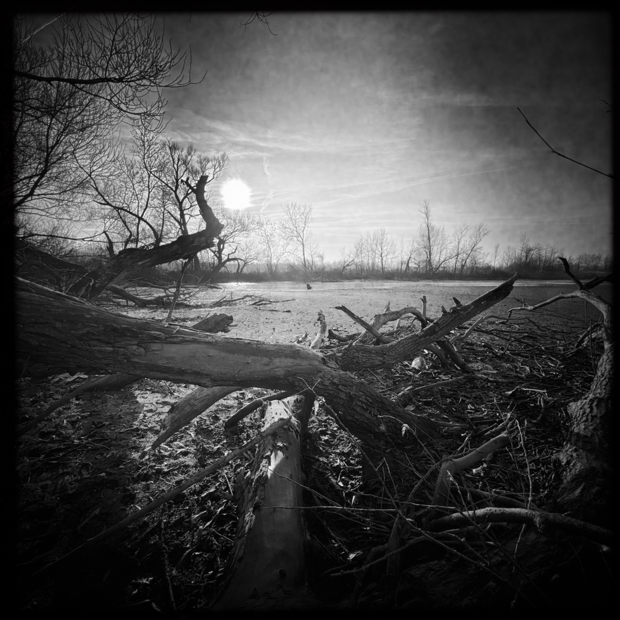 HMOriginal 4C6EBE12 768C 42BD AD22 72A02E2A18A1