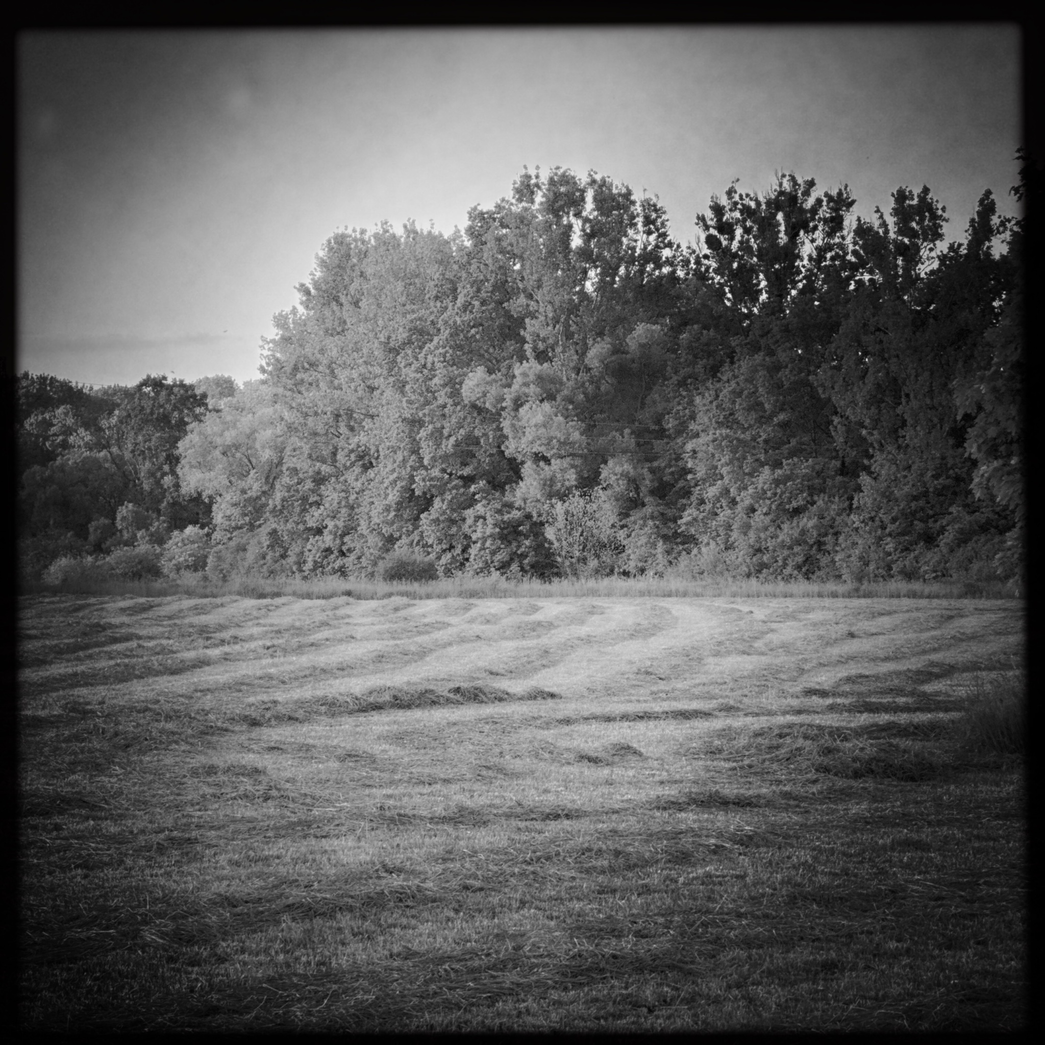 HMOriginal 4DDD3062 F0EB 458E 8B88 B5924EB096D0