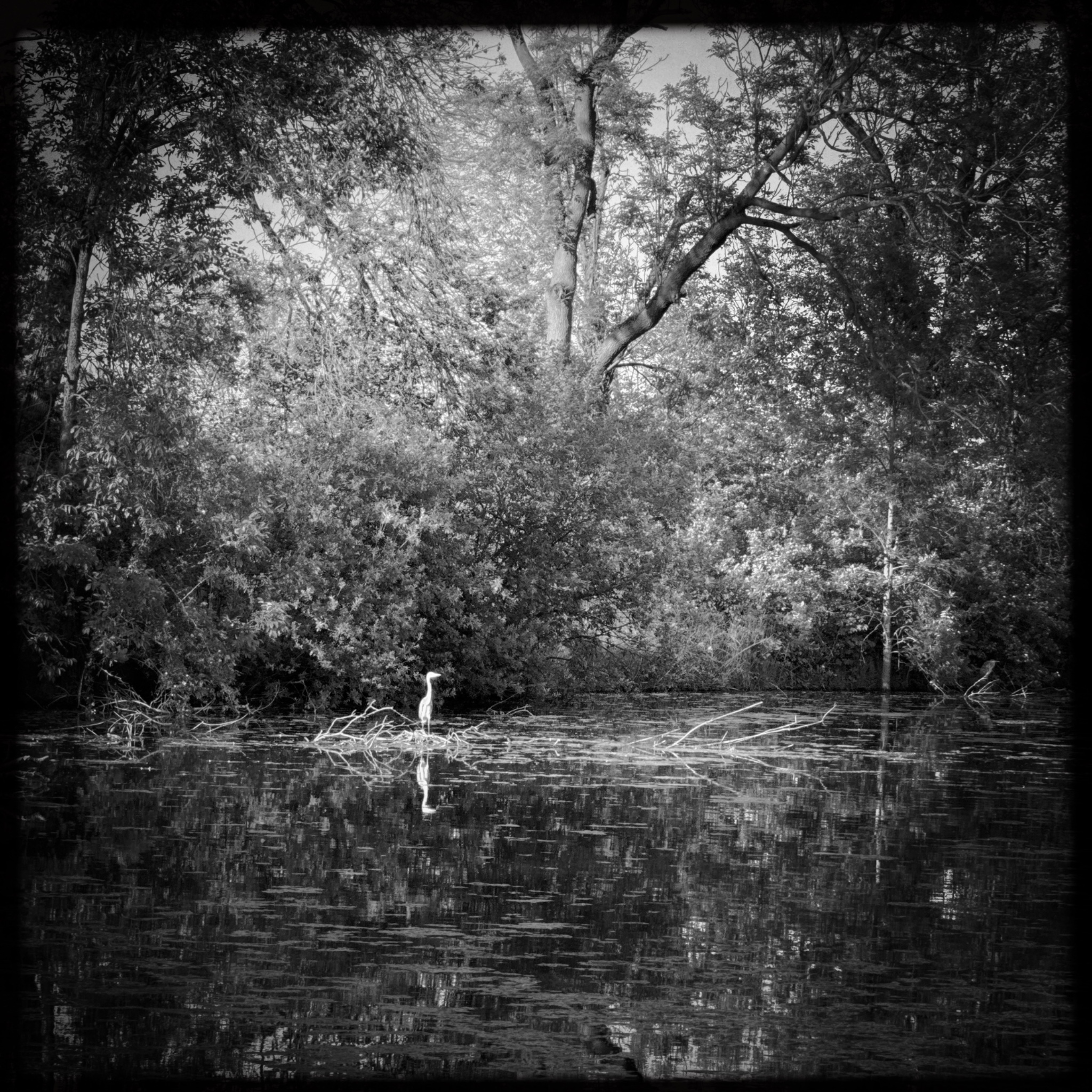 HMOriginal 4F5827D1 1F34 435A A7A4 B6ED1C5E4DB2