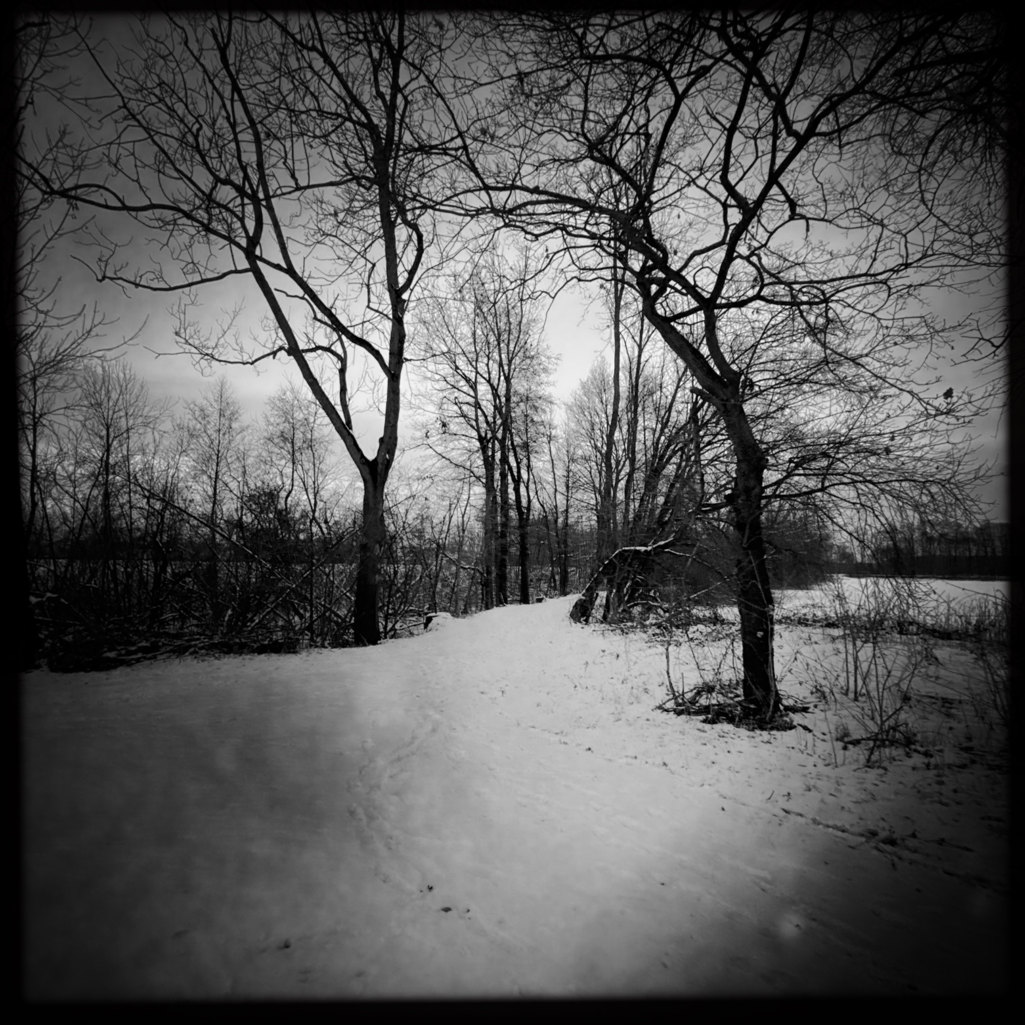 HMOriginal 4F592F3B 1F9B 4A36 8F3C A6F316D280C4