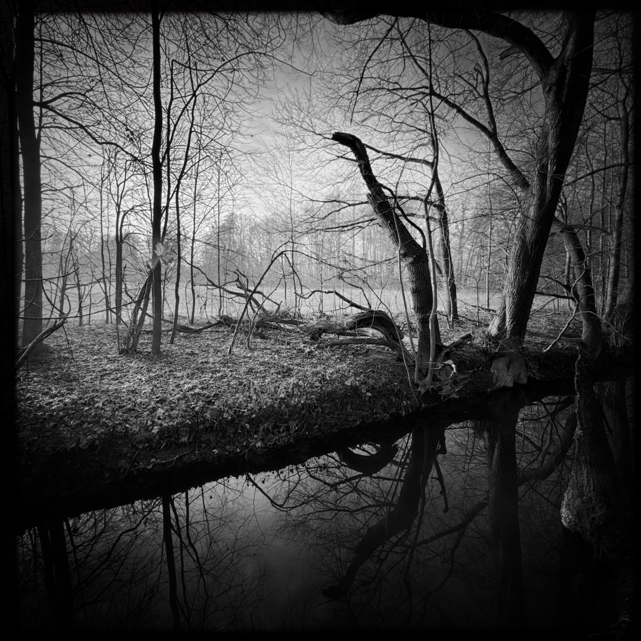 HMOriginal 5273EBF7 F4A0 4621 9CE8 5C9E623DD2A71