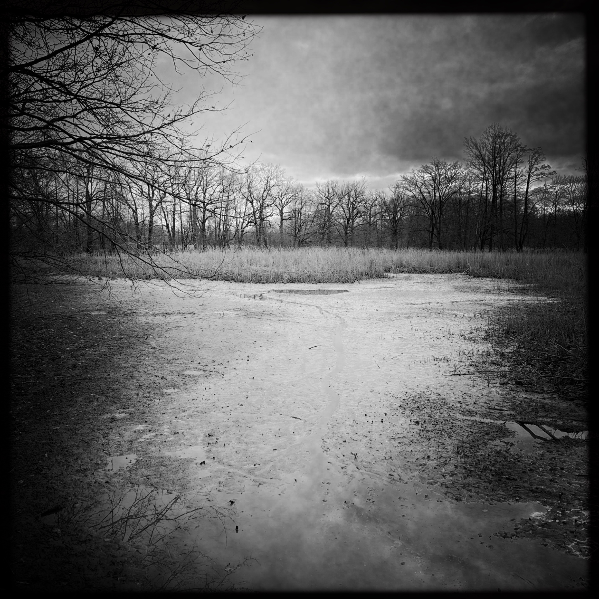 HMOriginal 5301D4A0 1E25 4BAD 883F 87407DA6381B