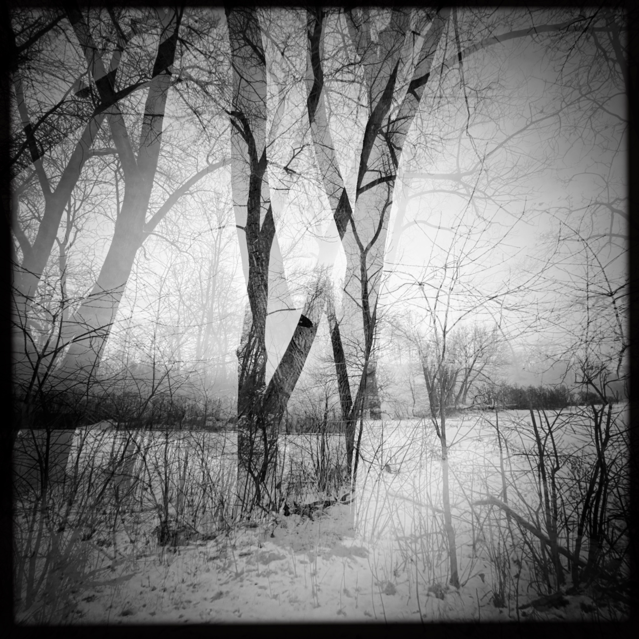 HMOriginal 53565677 E4C0 4BEF BCD3 C2F3428FEF591