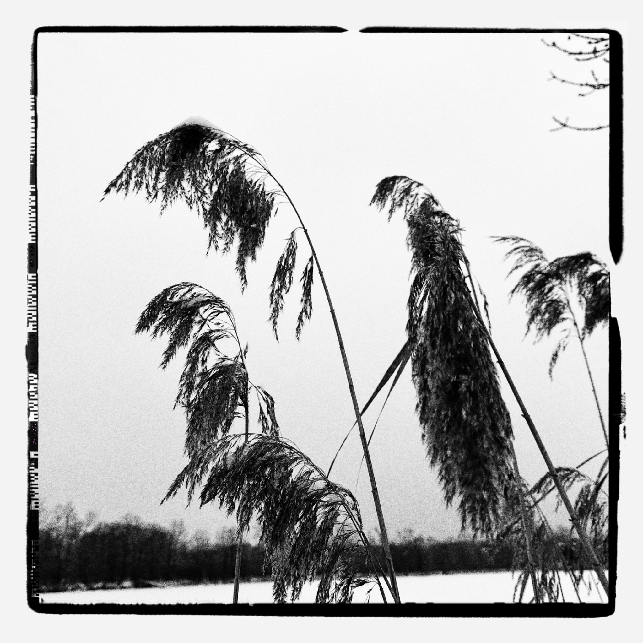 HMOriginal 53711D9B DFF1 49F3 9A38 3905AB2F8B24