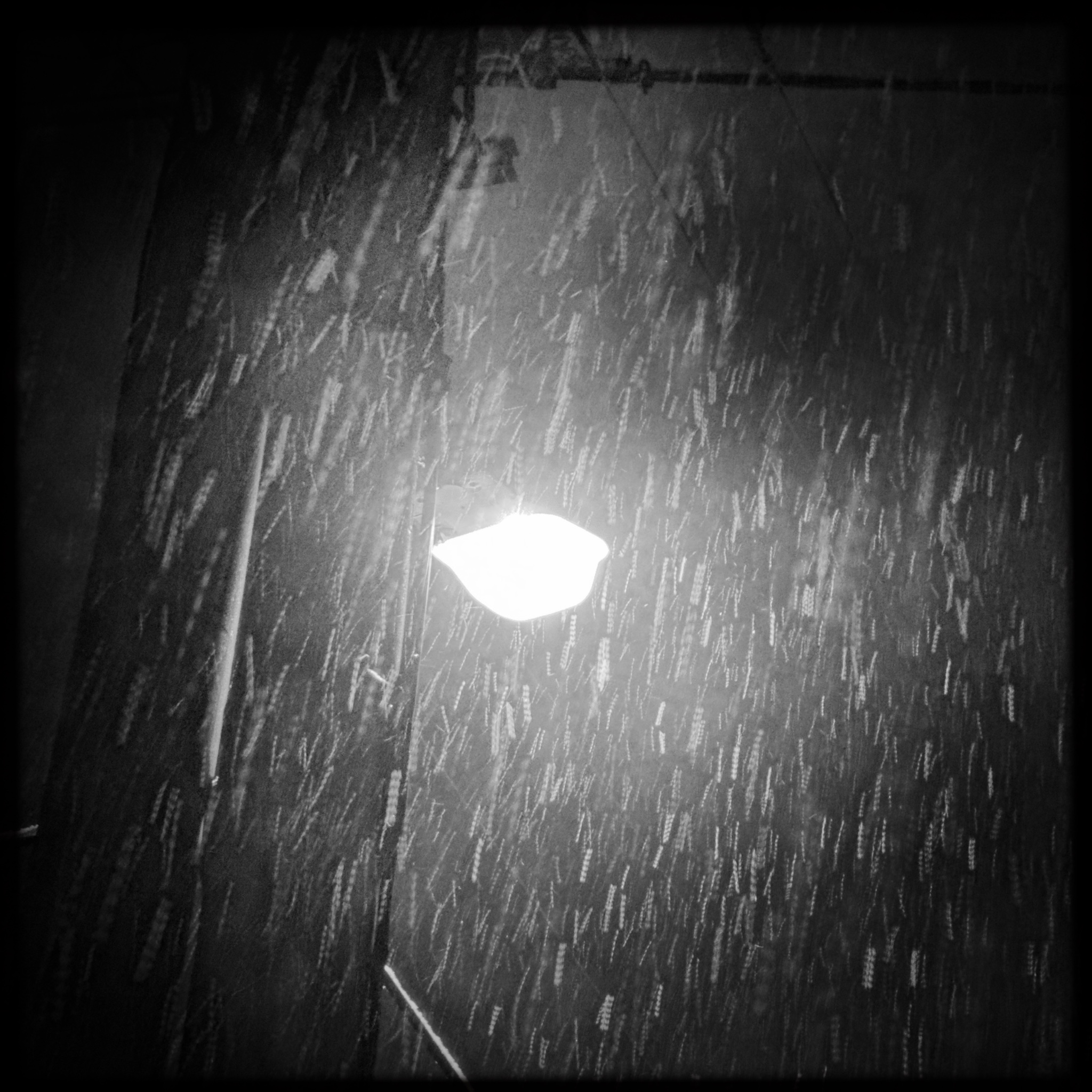 HMOriginal 53DD8EB6 5FCA 4648 9E2B 3AB8A0E1203D