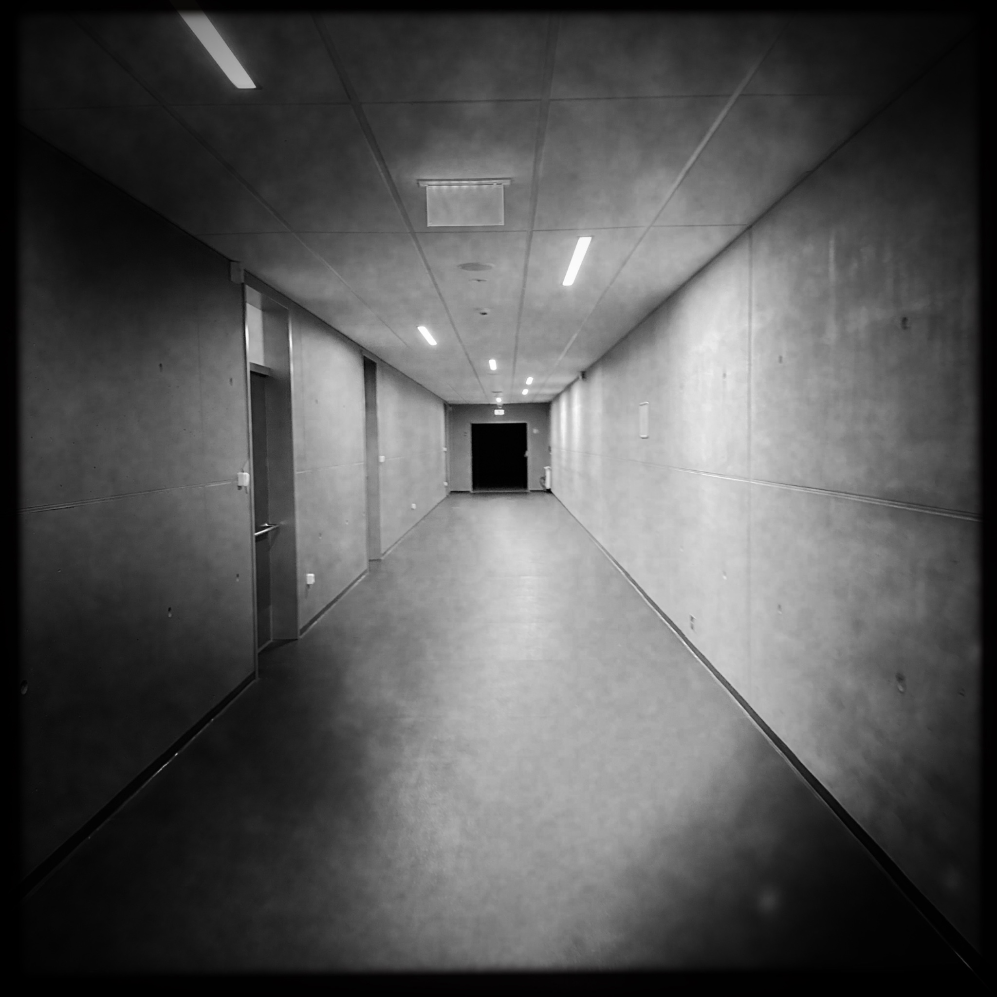 HMOriginal 54880A01 F05F 4D82 BF61 AE0333100183