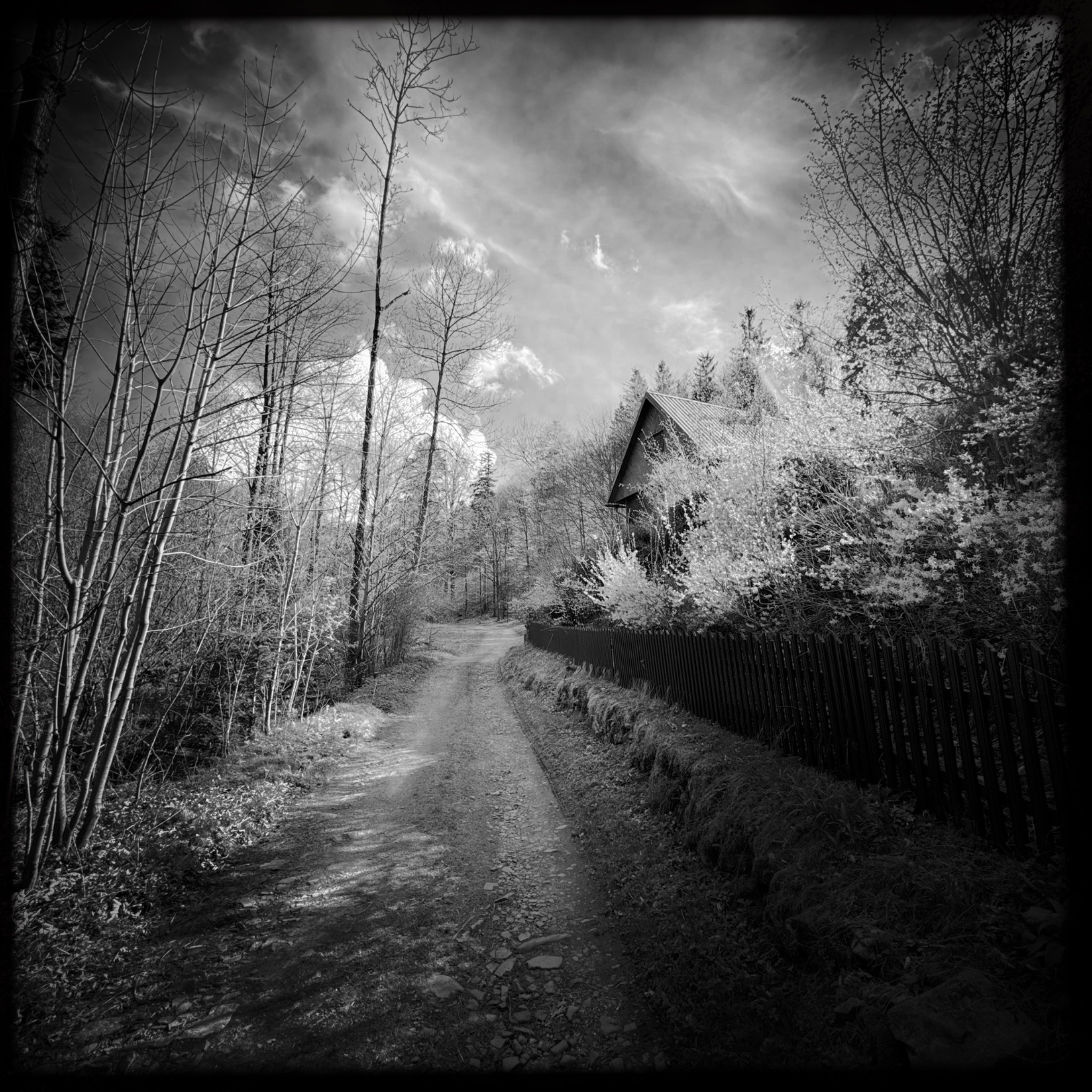 HMOriginal 5572B6B4 06E4 48BB AA6D EE7BE5DBDBB9