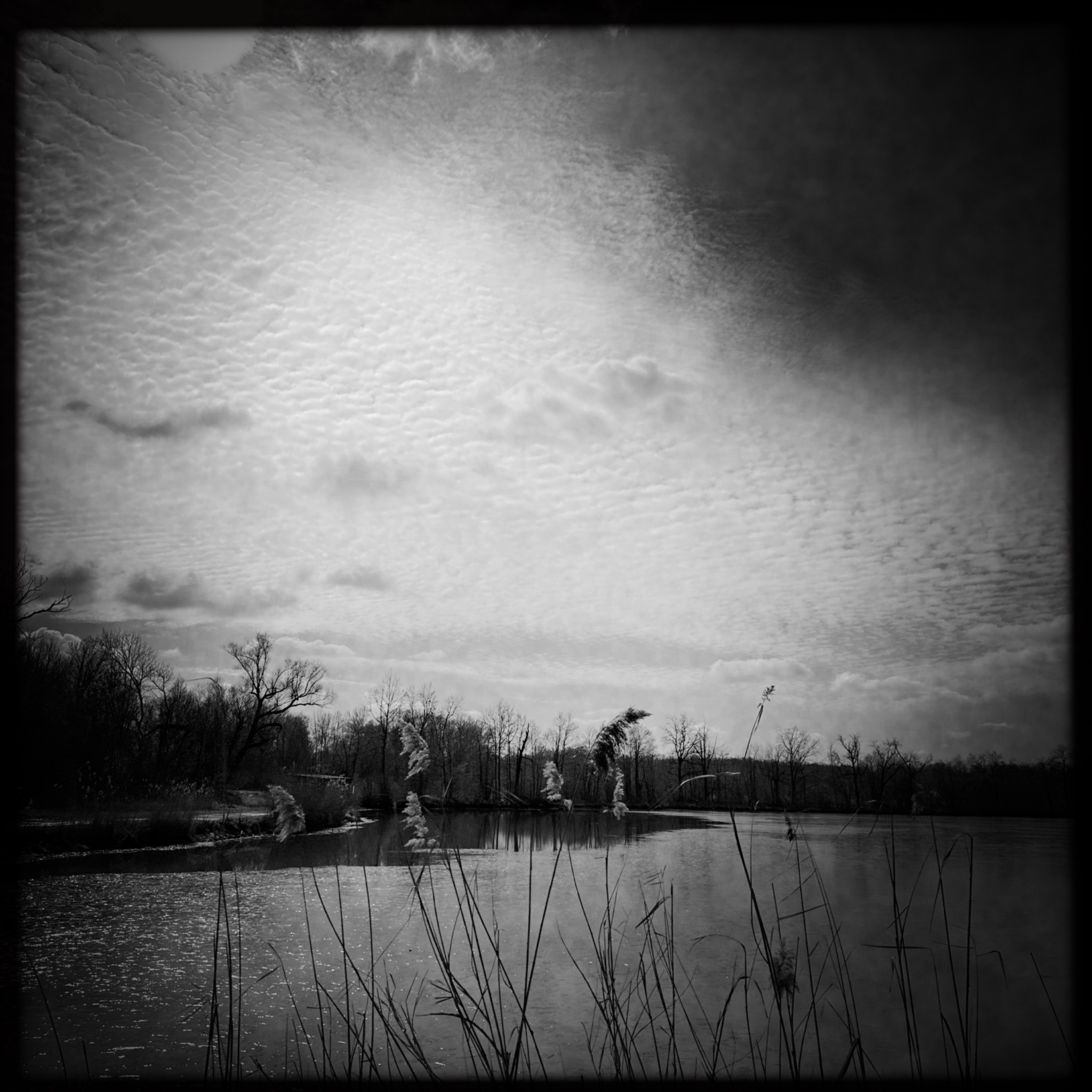 HMOriginal 5833DA5F 2BBC 4D53 9C5E ED2513406D6C