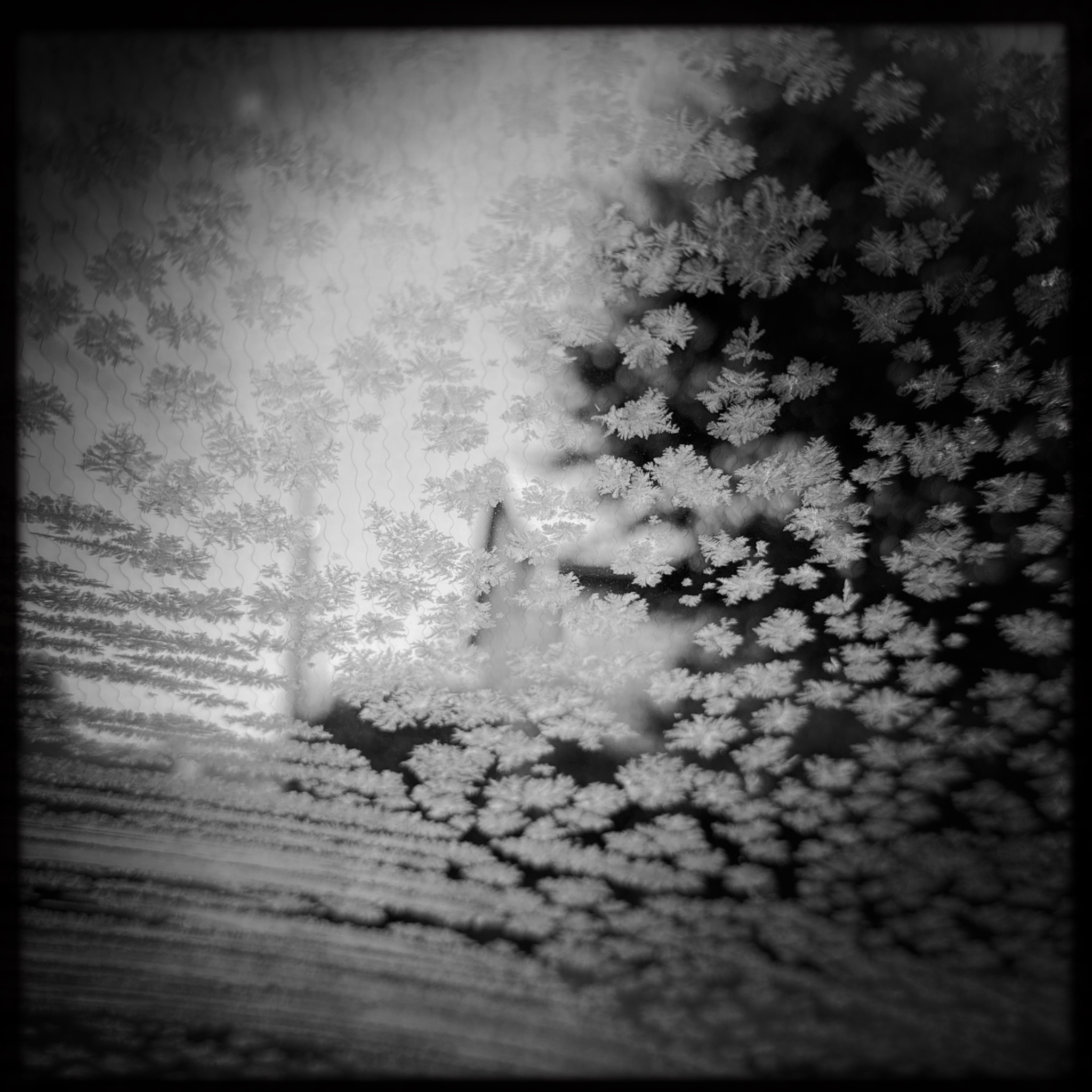 HMOriginal 5A34A0D4 87C7 4CB2 81FC 58EDFCD86F38