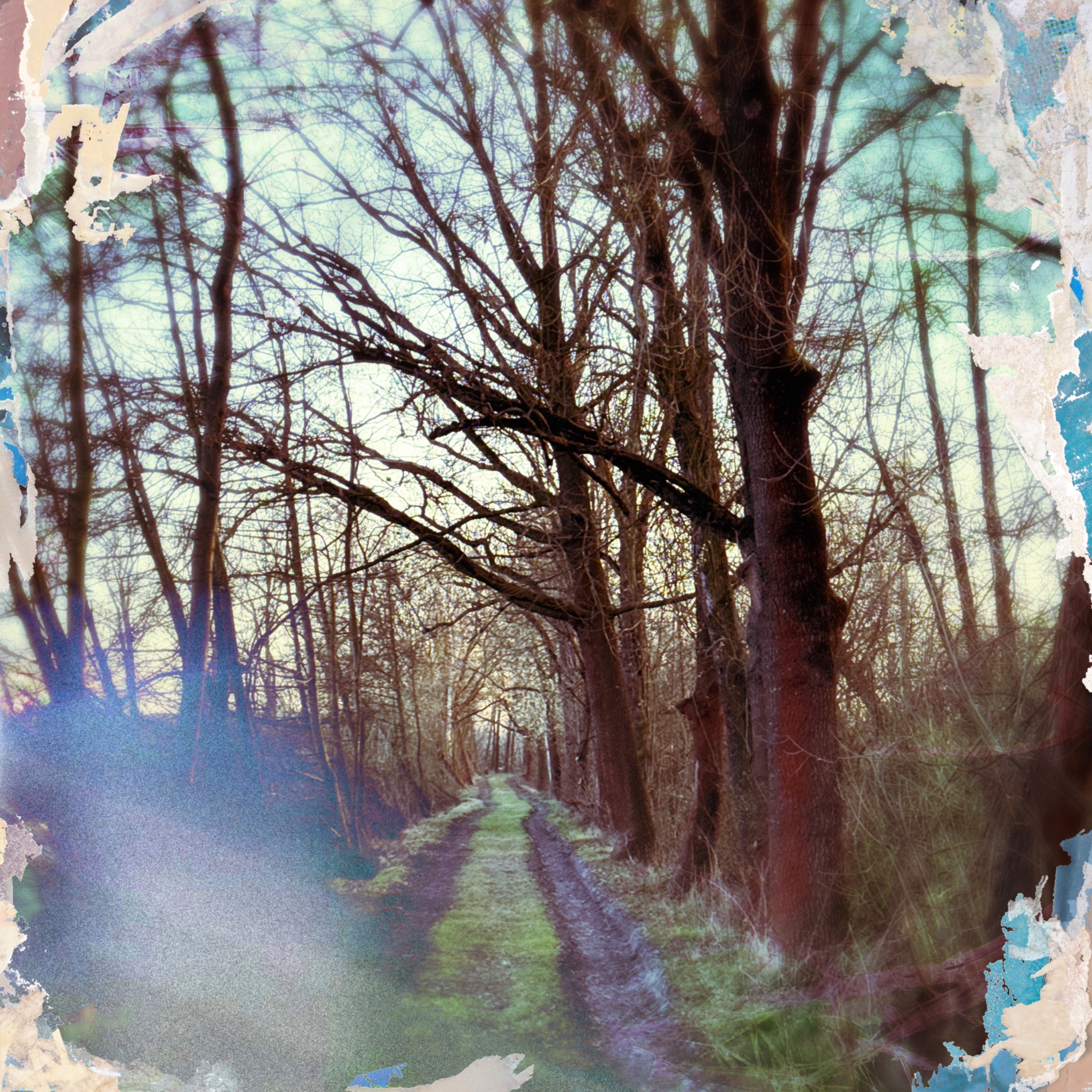 HMOriginal 5B2FE59E A11D 4668 AB0A FDEE08FBA480