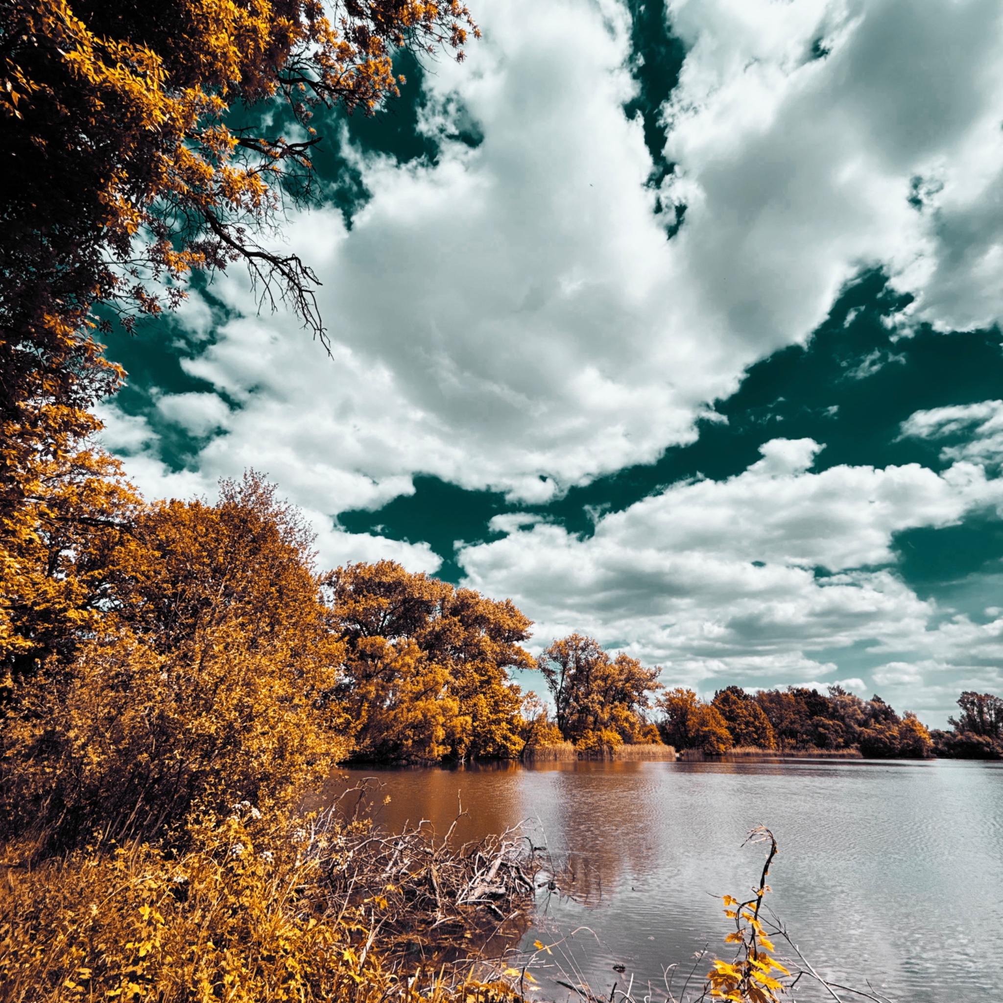 HMOriginal 5DD85BB5 6913 4CA0 A24E 93859B4FE069