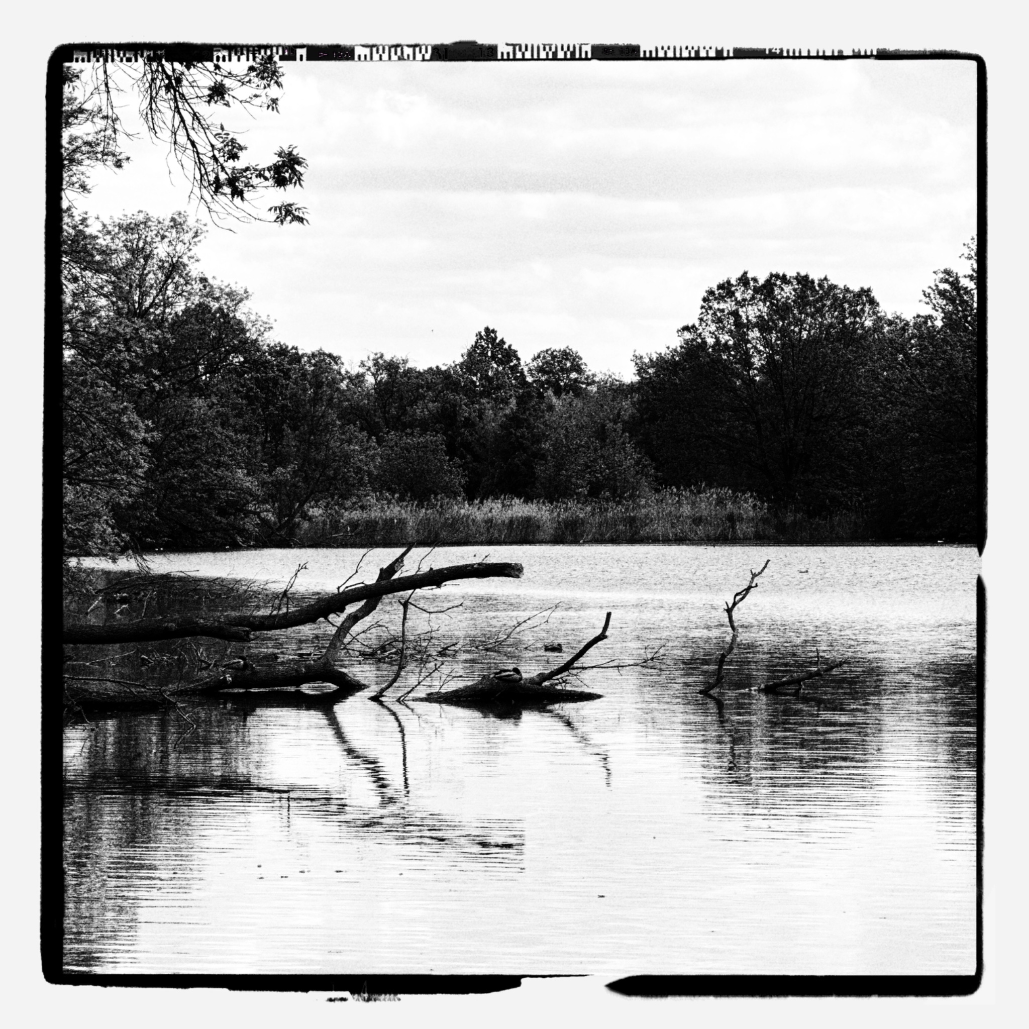 HMOriginal 5E67C681 29DF 4E05 81F3 8CDBAB2A4A40