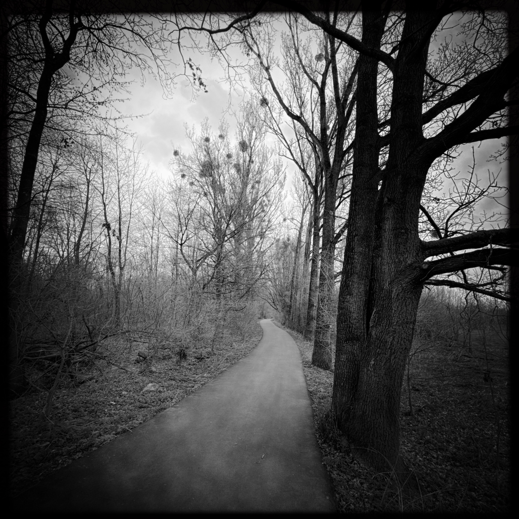 HMOriginal 5F1F46DC 067C 4B4D 9471 494808BFA9CD