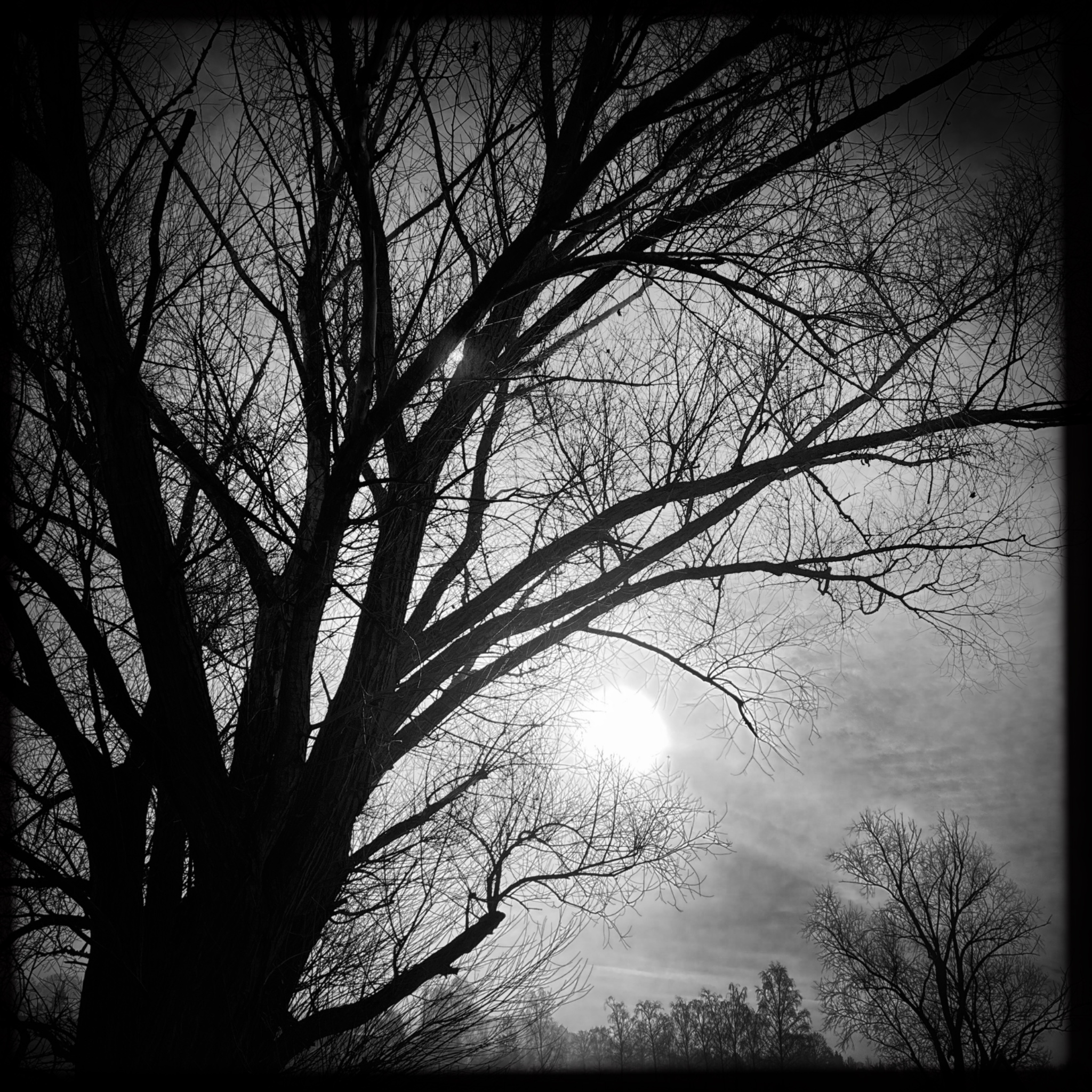 HMOriginal 5F574F3E C8A3 47CC 8052 DEC459169719