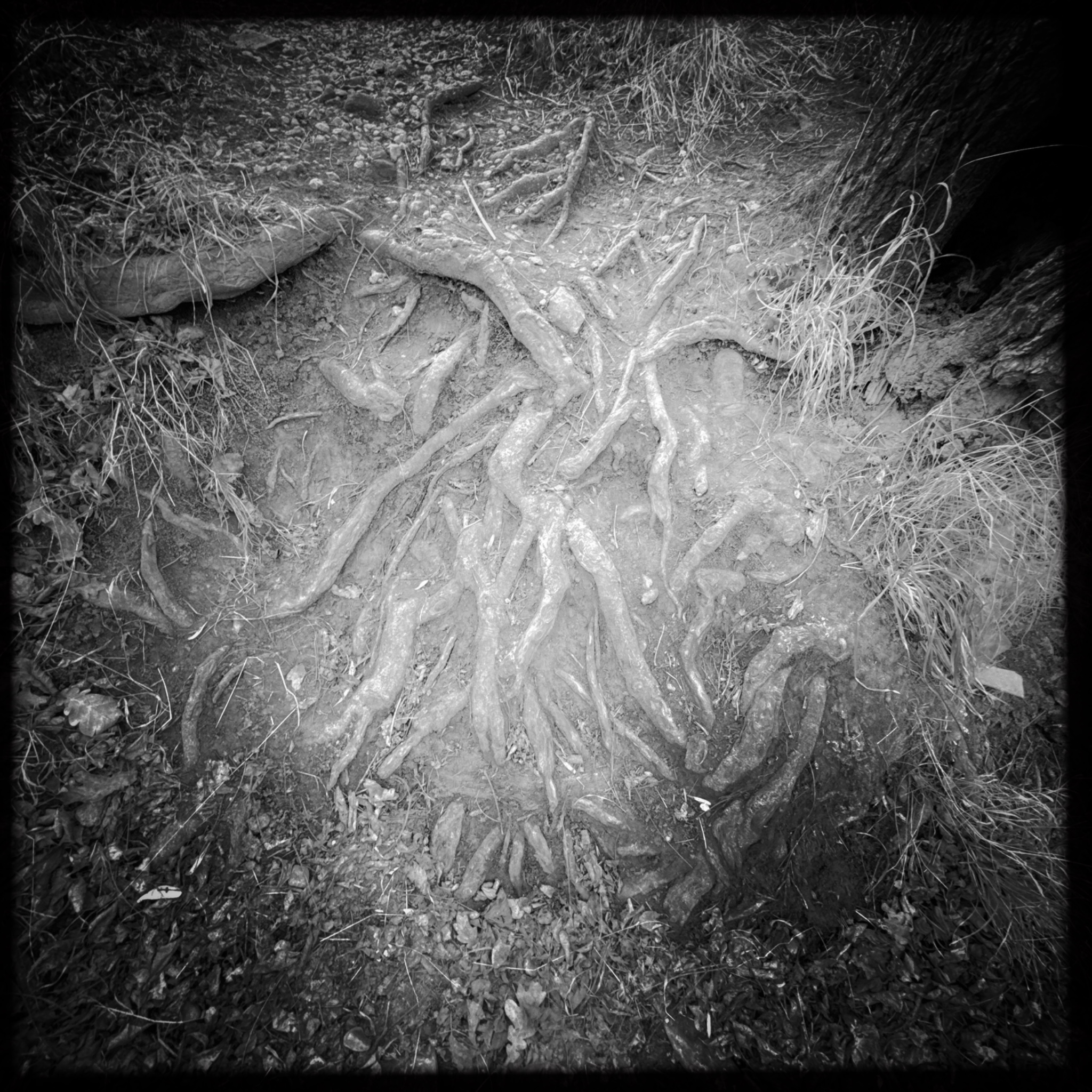 HMOriginal 6275F486 246F 4C79 881E B6CE07E70BF7