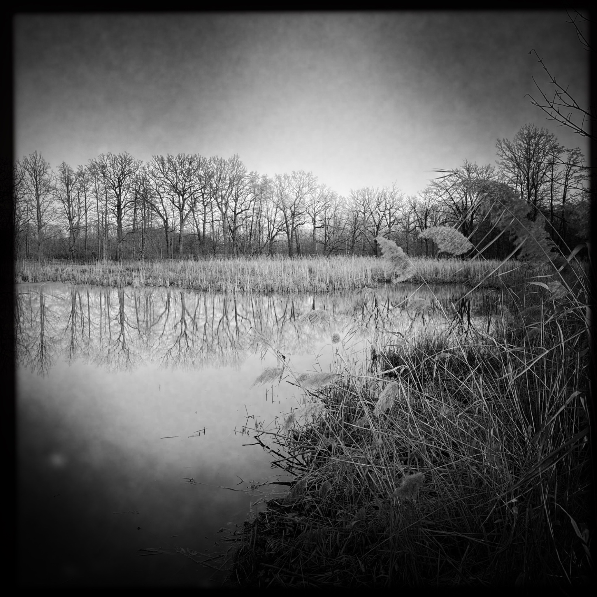 HMOriginal 62A816AA AB10 4F22 A16D FF3353289FDC