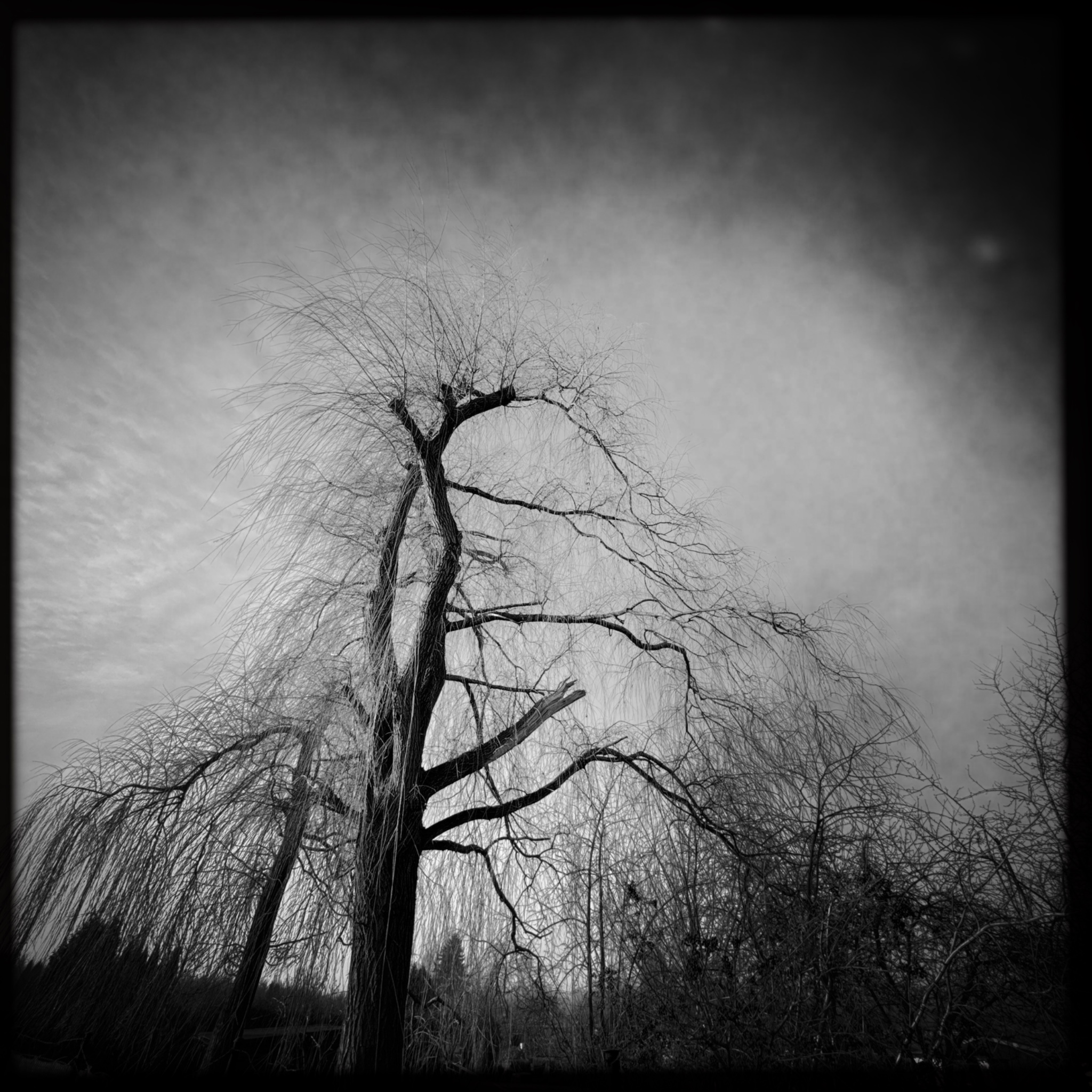 HMOriginal 63D413D8 F778 440F A3E3 AAA0BF06A334