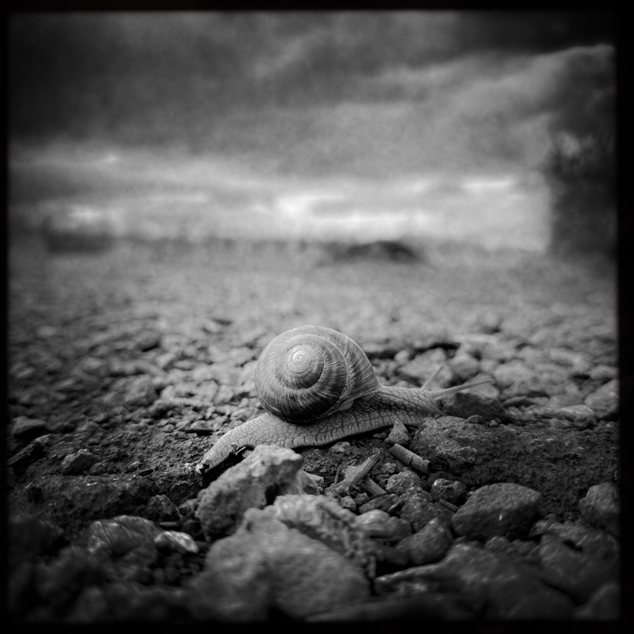 HMOriginal 65FB44D3 AA92 4F80 8C2F 4C3393A43BF8