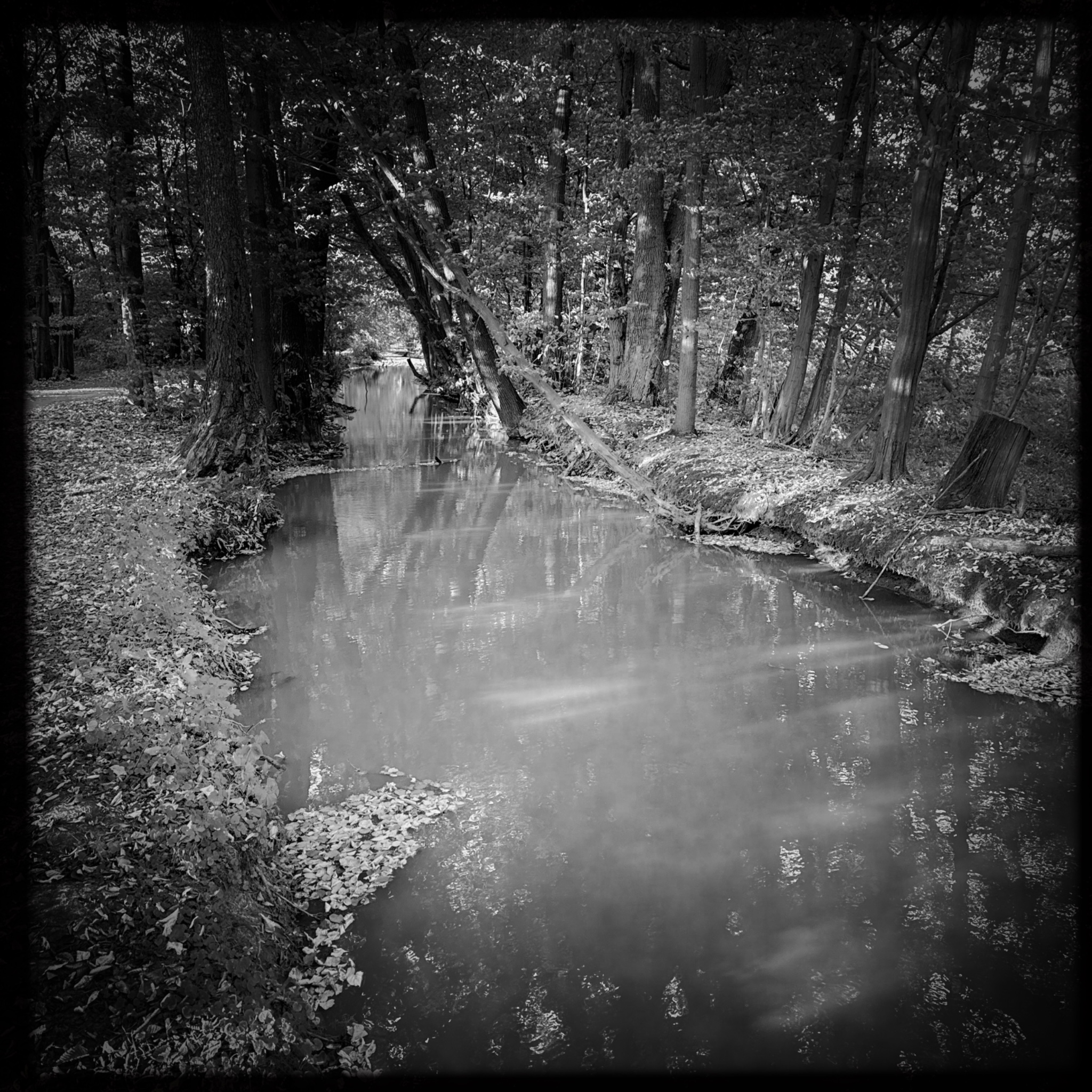 HMOriginal 69CC3857 3CF0 4EC4 907F 1611DAA622D1