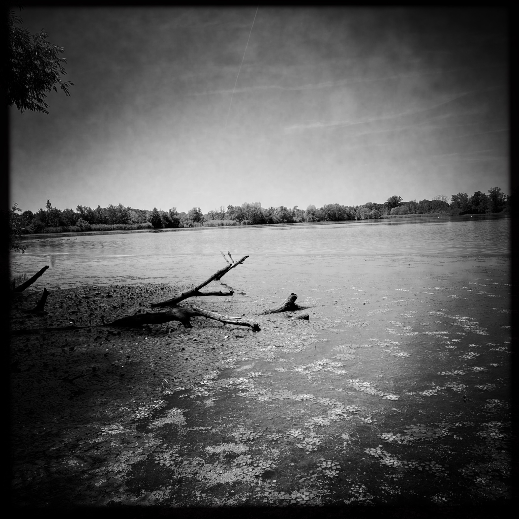 HMOriginal 6B6589C4 7072 47E9 8DB2 256F29EAE979