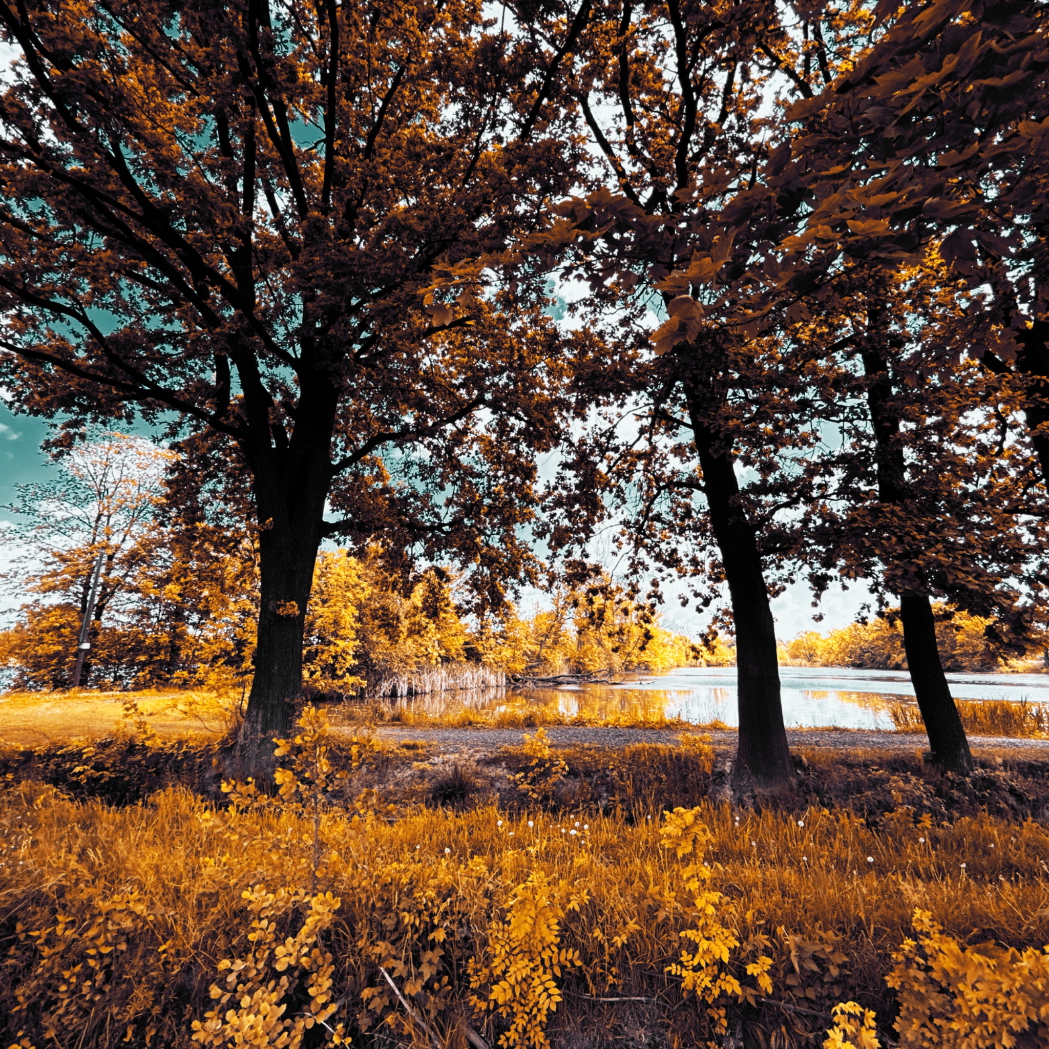 HMOriginal 6C4249C3 847E 4FDF B248 02D2B77A20BC